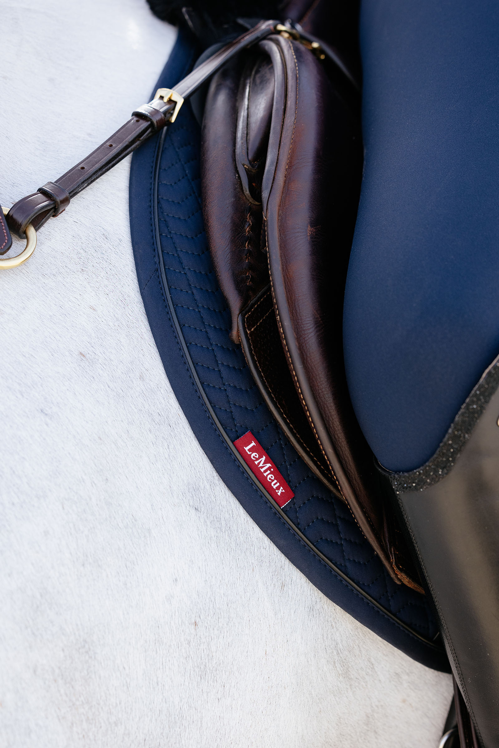 LeMieux Essence Eurojump este satulahuopa