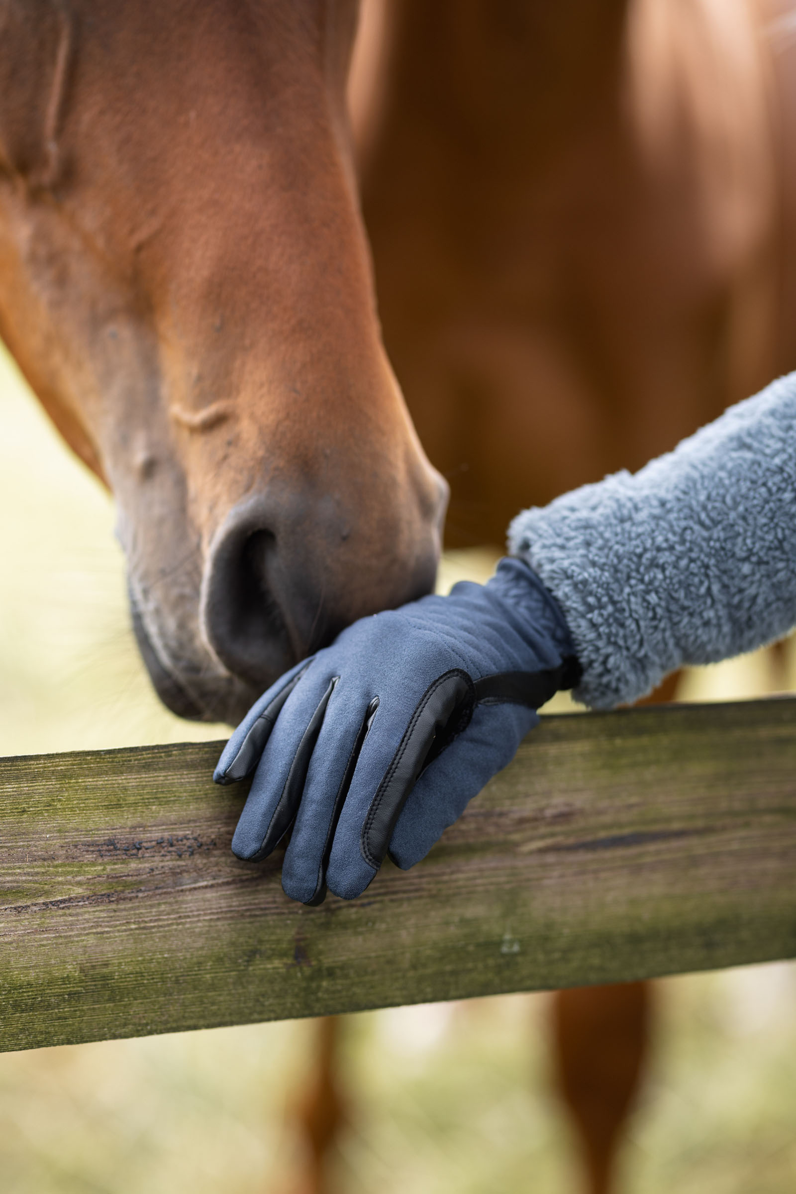 Horze JIMENA jokasään ratsastushanskat