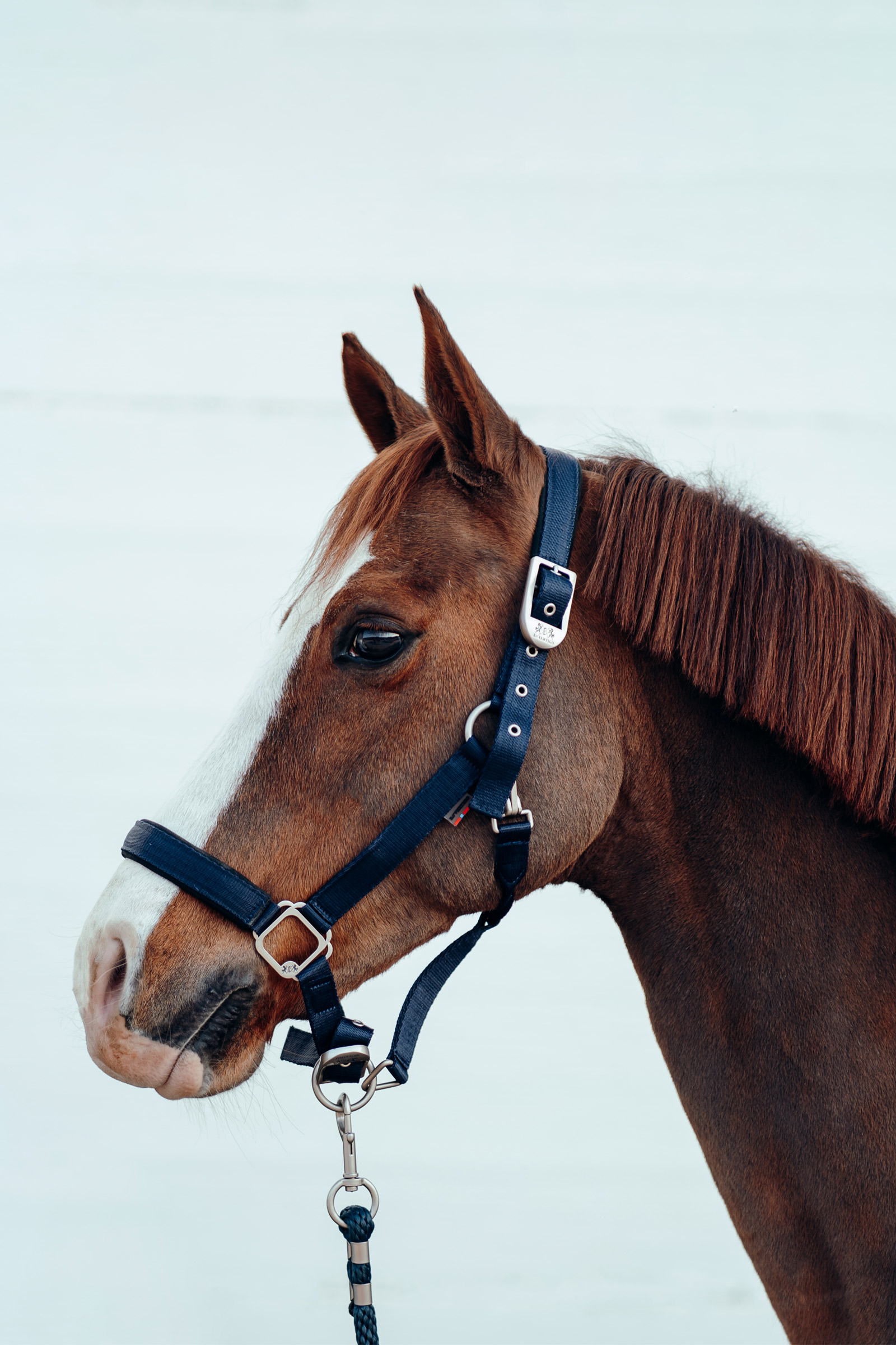 B Vertigo Hardwick riimu