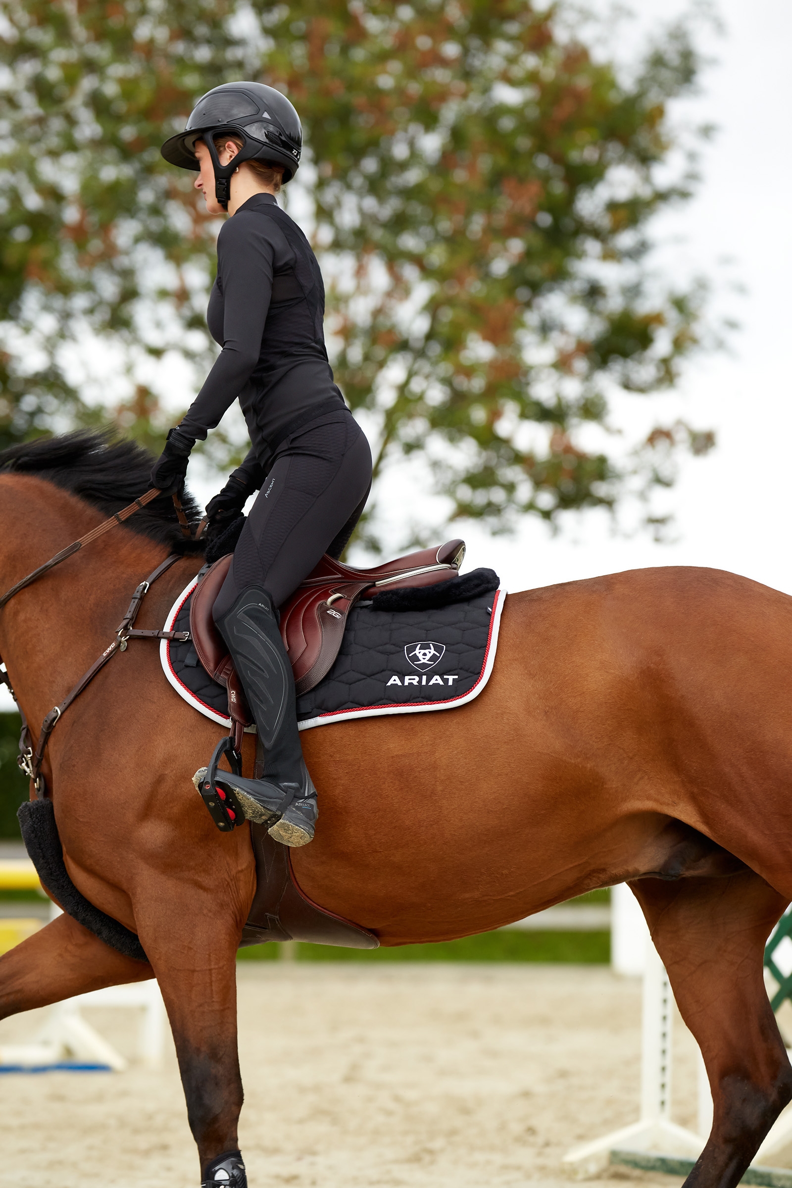 Ariat Ascent naisten polvipaikkaiset ratsastuslegginsit