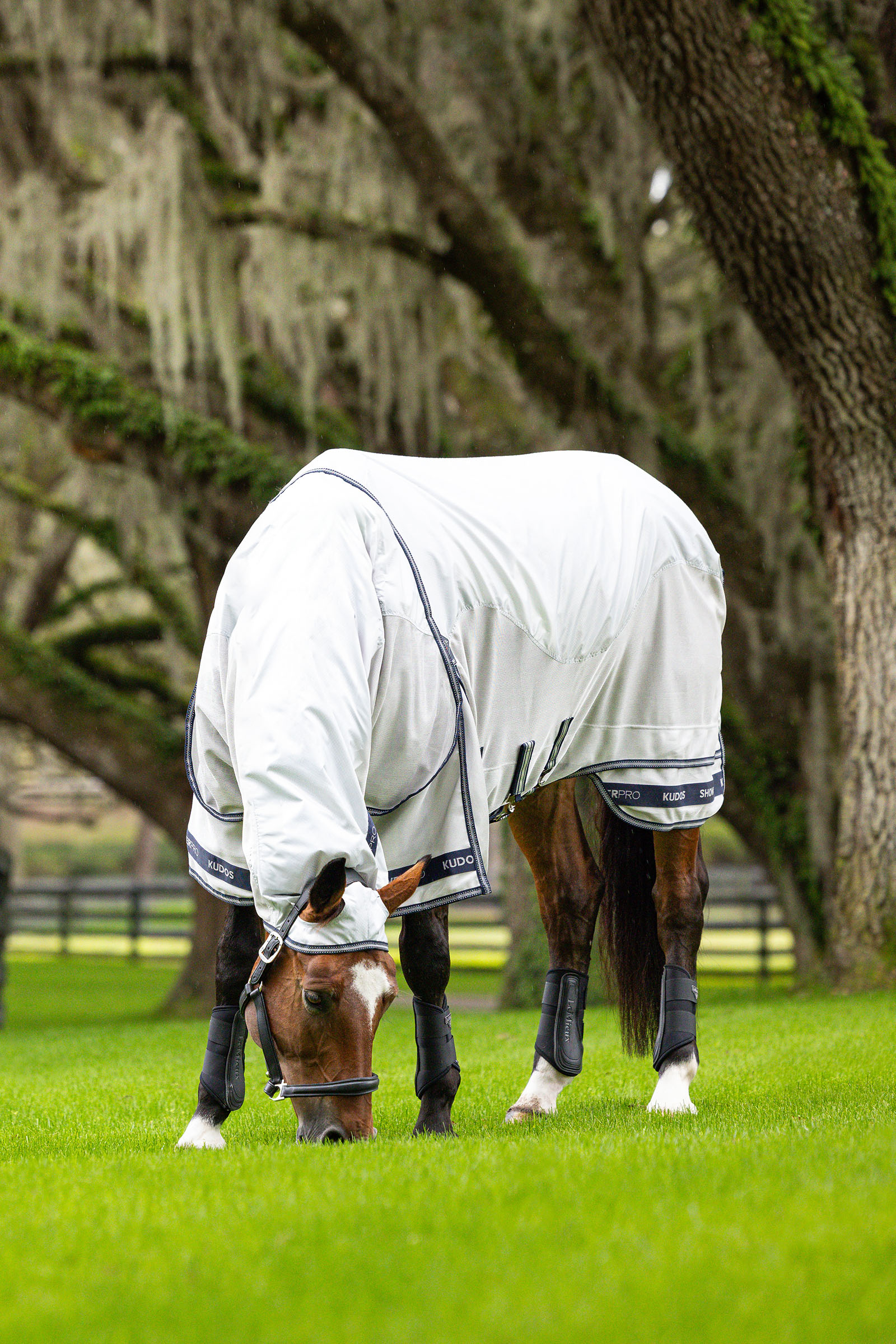 LeMieux Kudos Shower Pro vedenpit&auml;v&auml; k&auml;rp&auml;ssuojaloimi