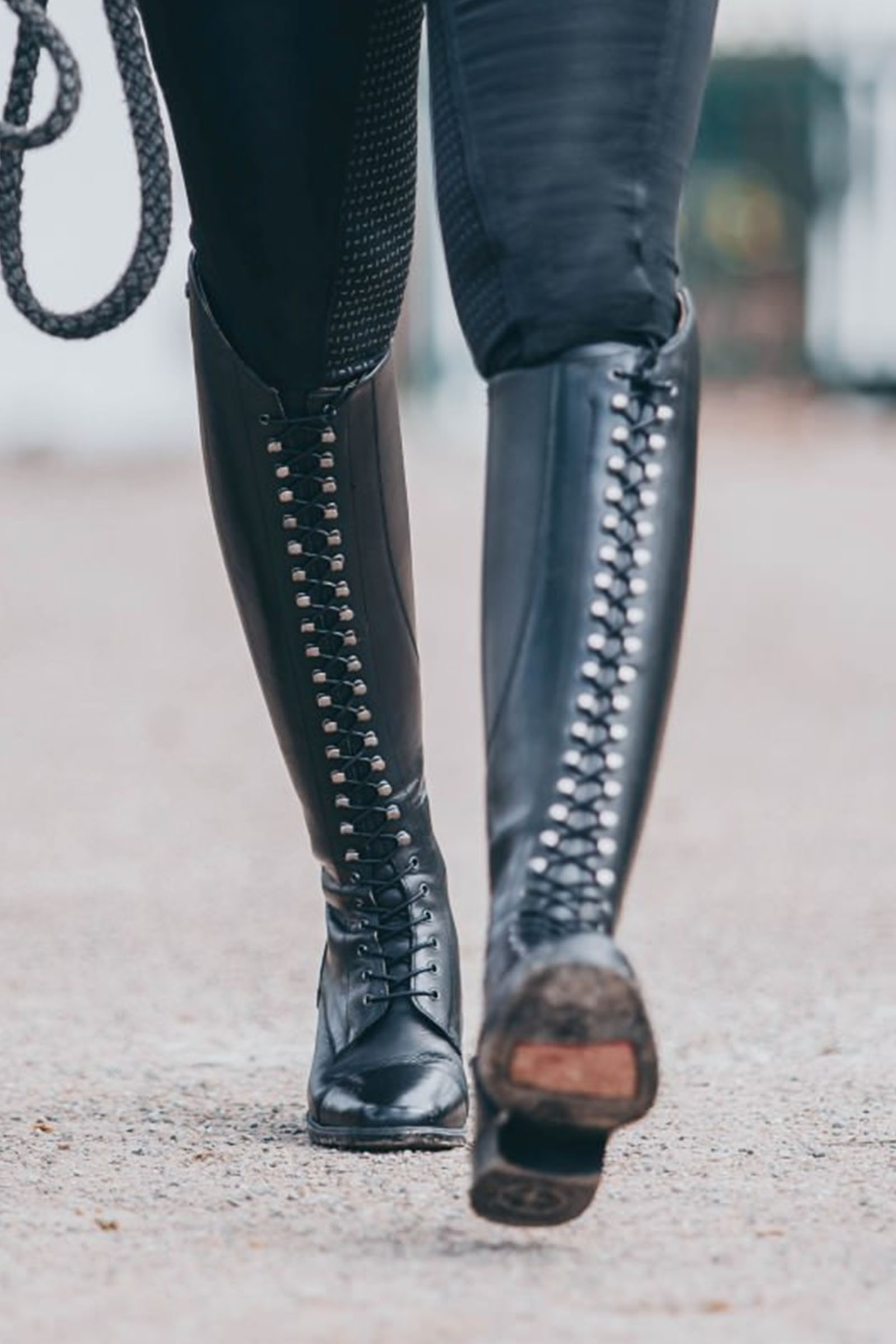 Suedwind Footwear Legacy Venado Nauhalliset Korkeat Ratsastussaappaat