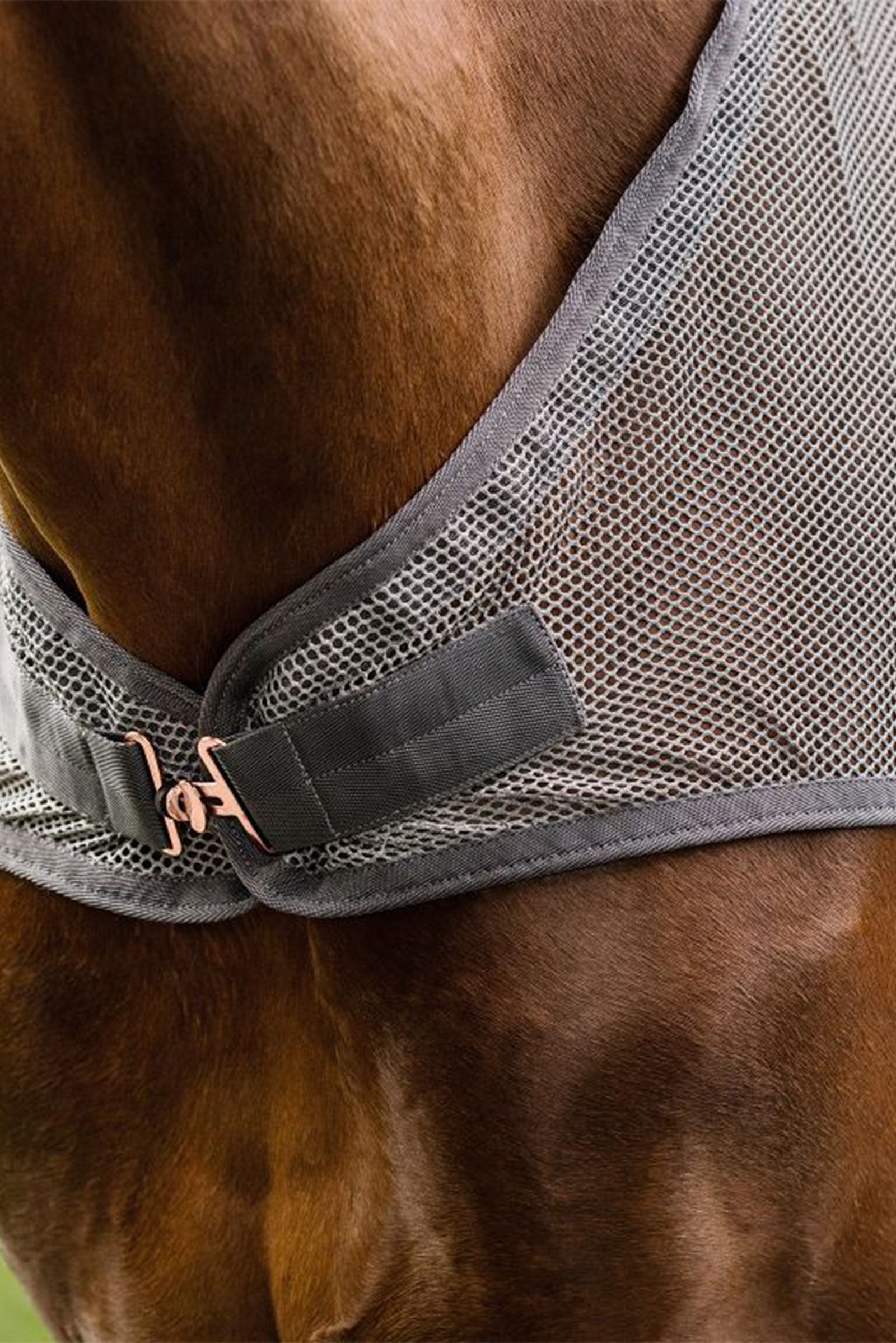 Waldhausen COMFORT Hyönteisistä Führmaschinendecke