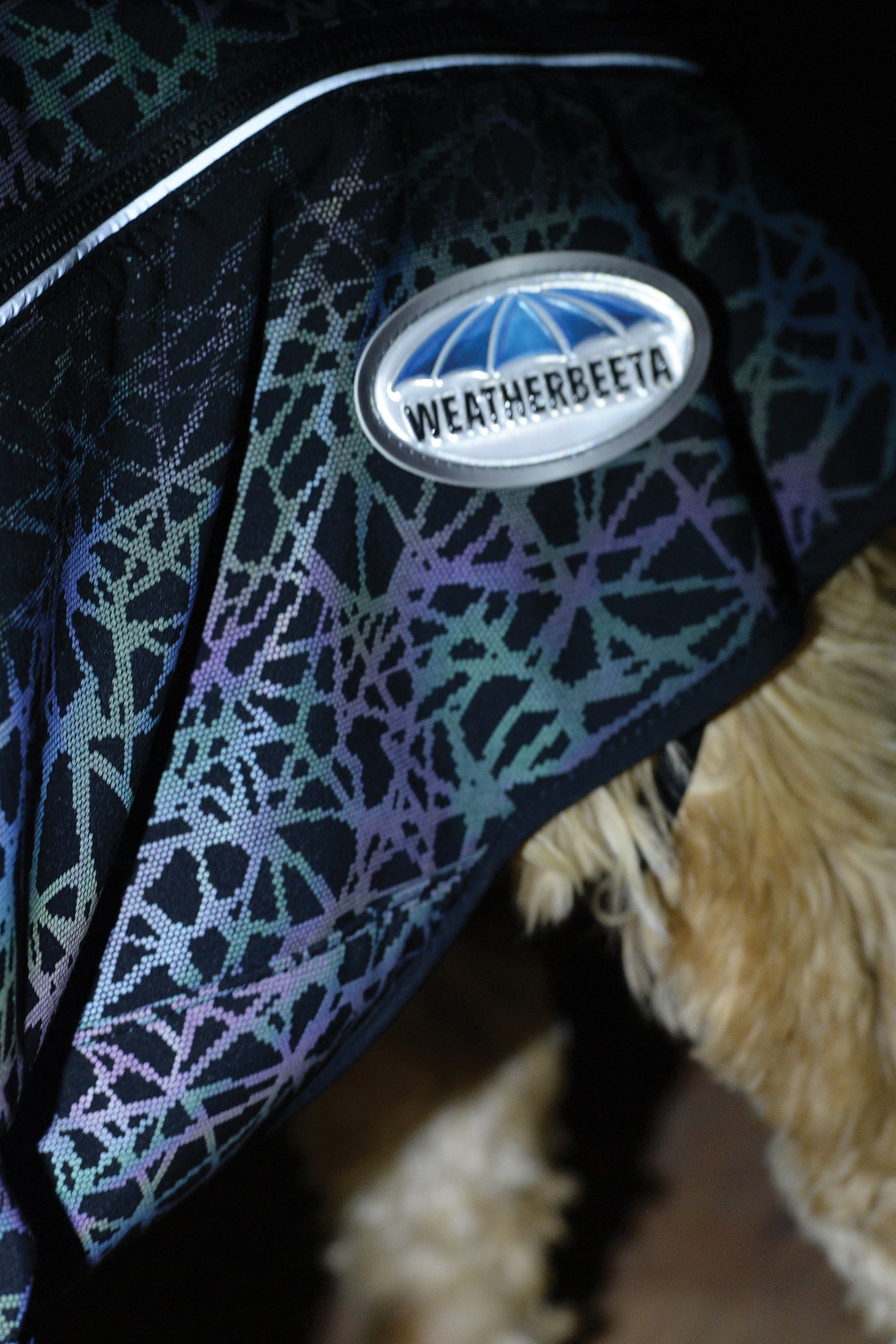 Weatherbeeta Comfitec Reflective Print Active Dog Coat