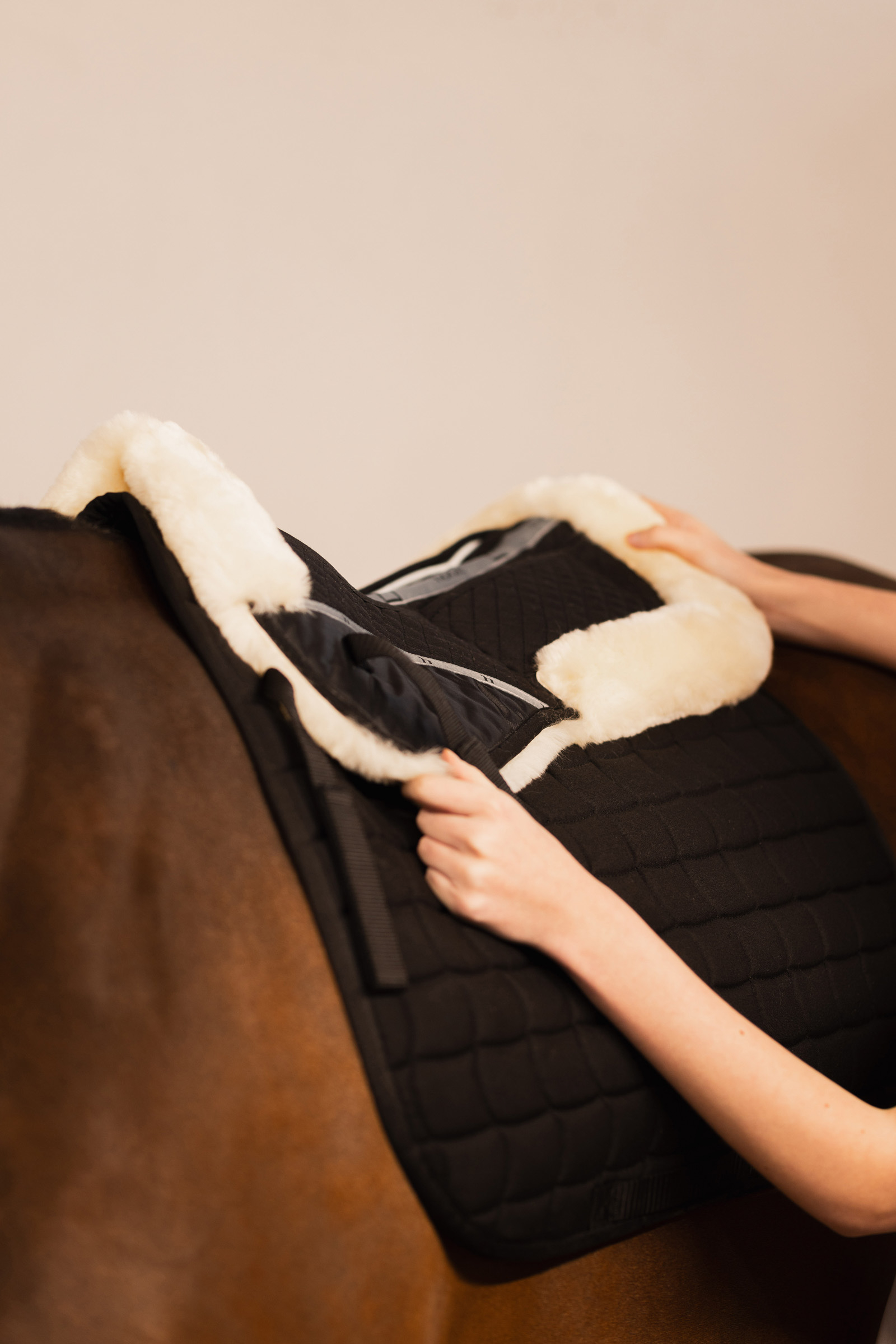 Horze Harleigh korjaava romaani