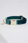 Kentucky Dogwear Dog Collar Velvet -kaulapanta