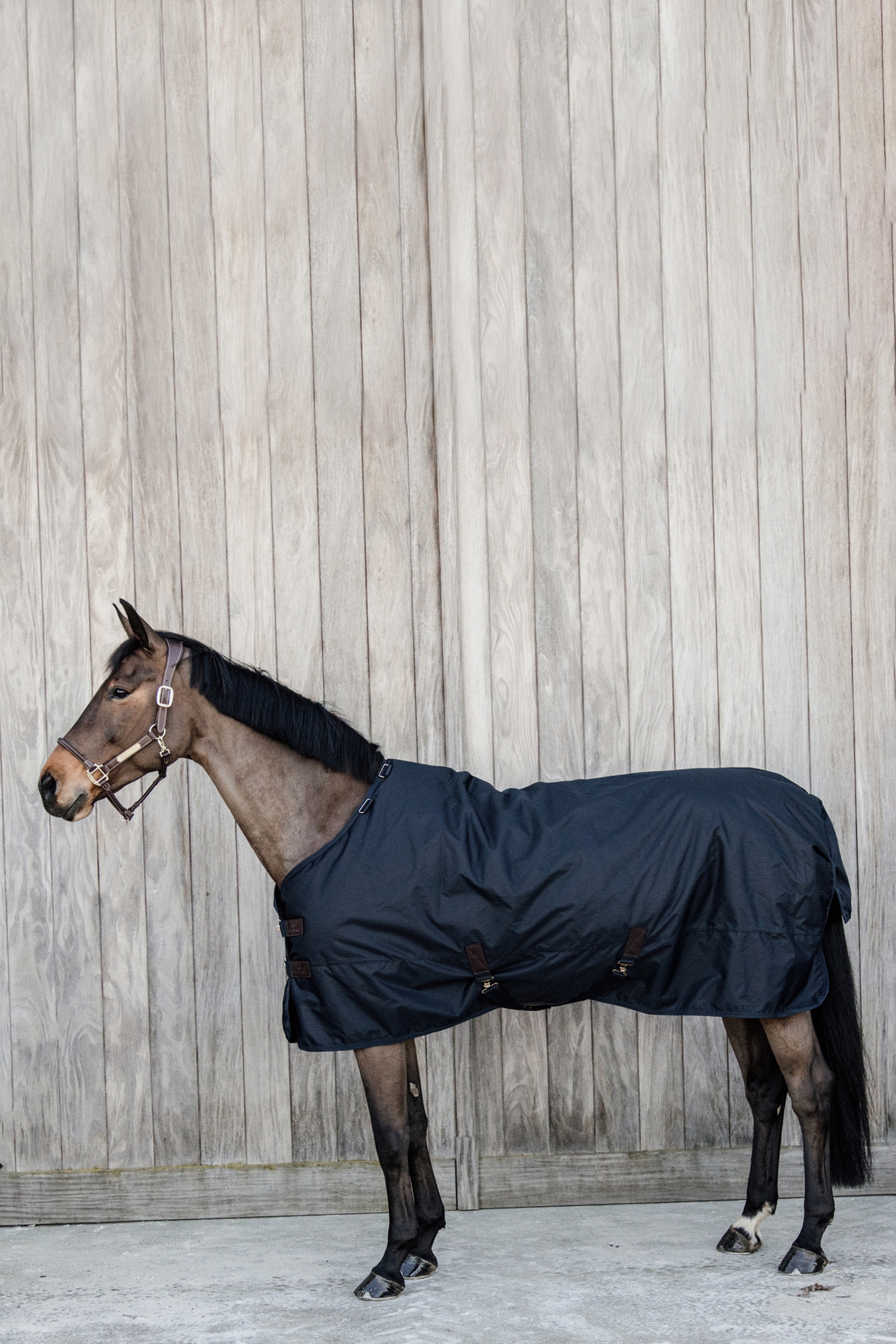 Kentucky Horsewear All Weather Waterproof Classic ulkoloimi, 50 g