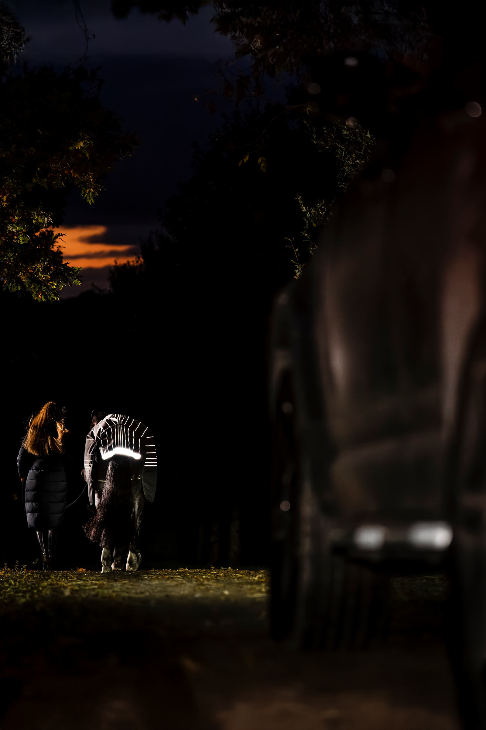 Horseware Amigo 1200D FieldSafe Reflectech Plus ulkoloimi, 250 g