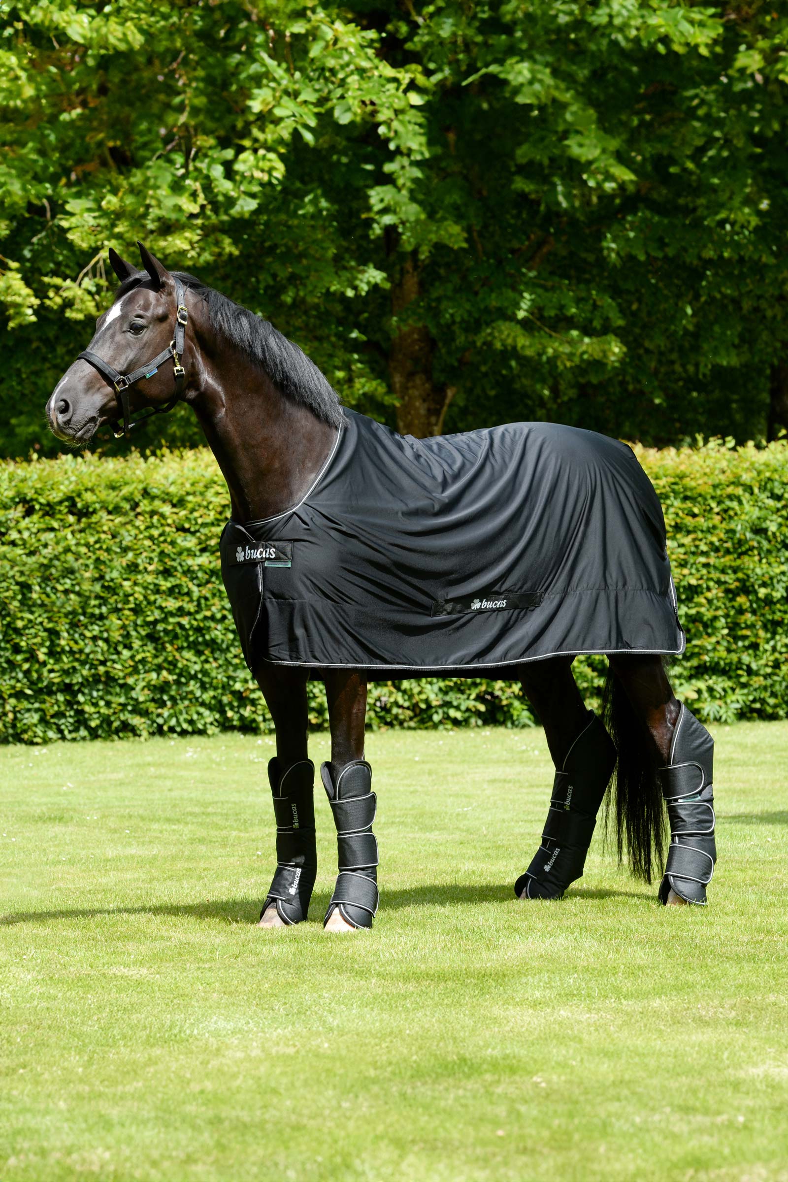 Bucas Freedom kuljetussuojat