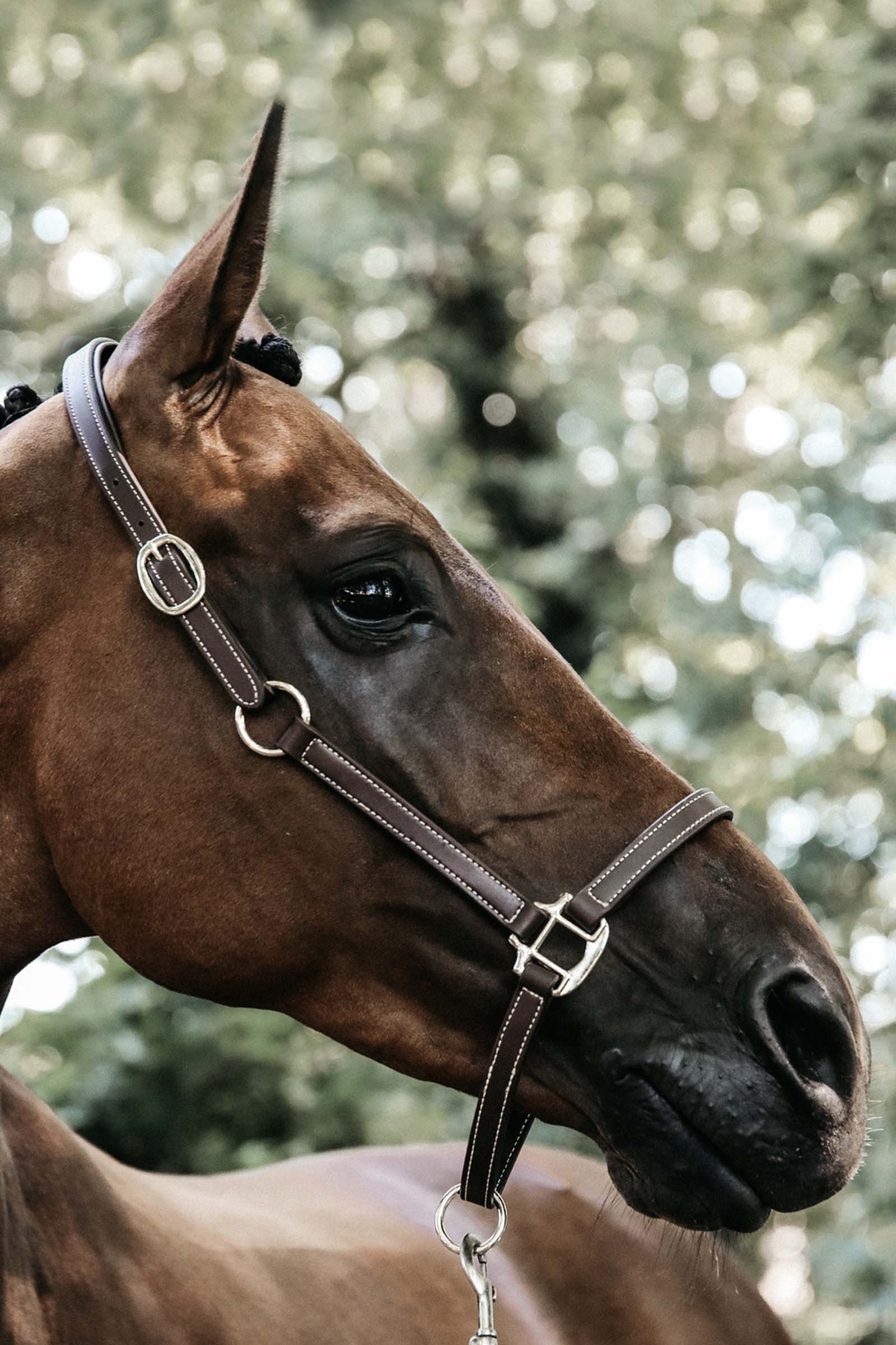 Kentucky Horsewear Flexible nahkariimu niskakappale