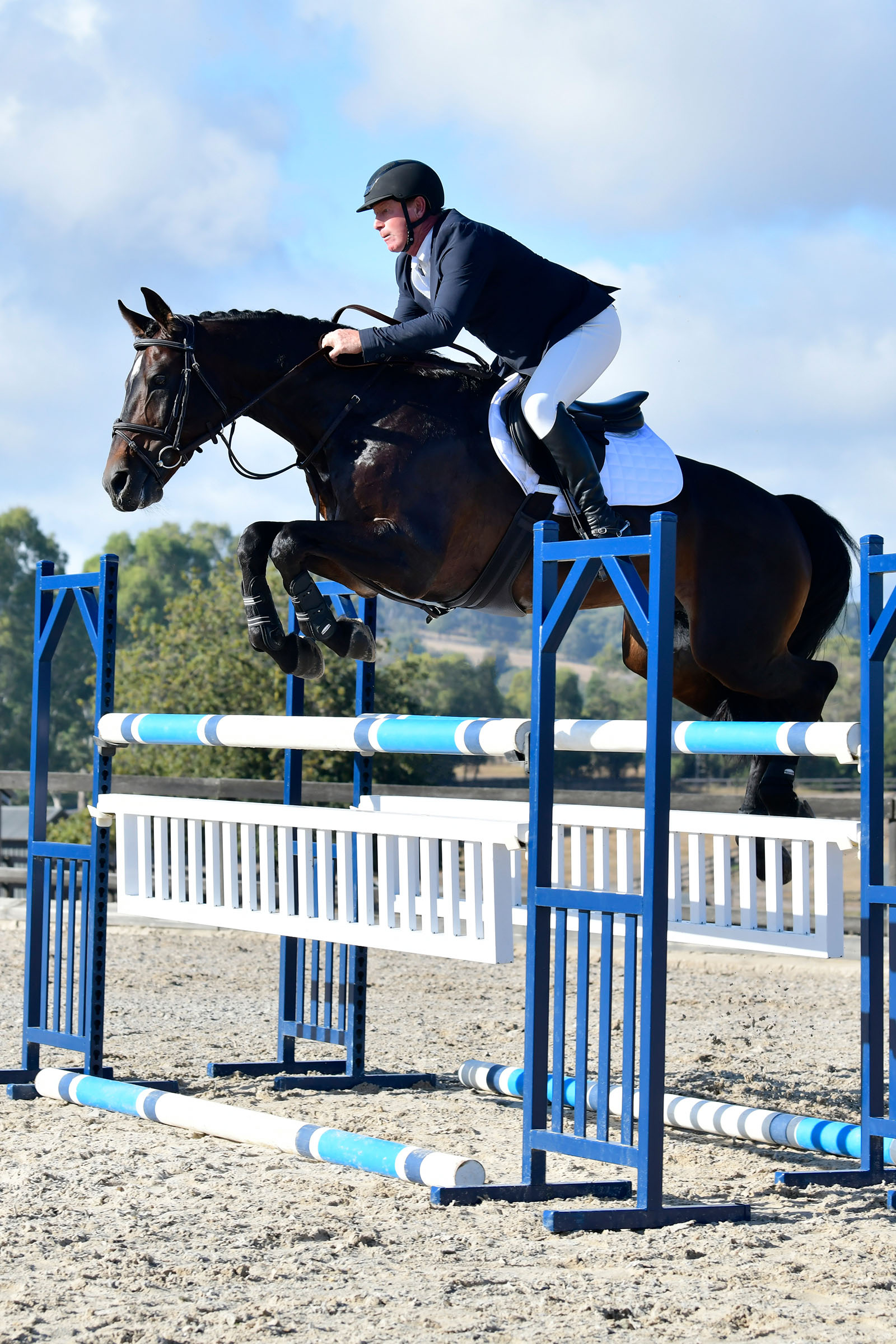 Collegiate Comfitec Opulux Fancy Stitch pehmustettu hannoverilainen suitsi