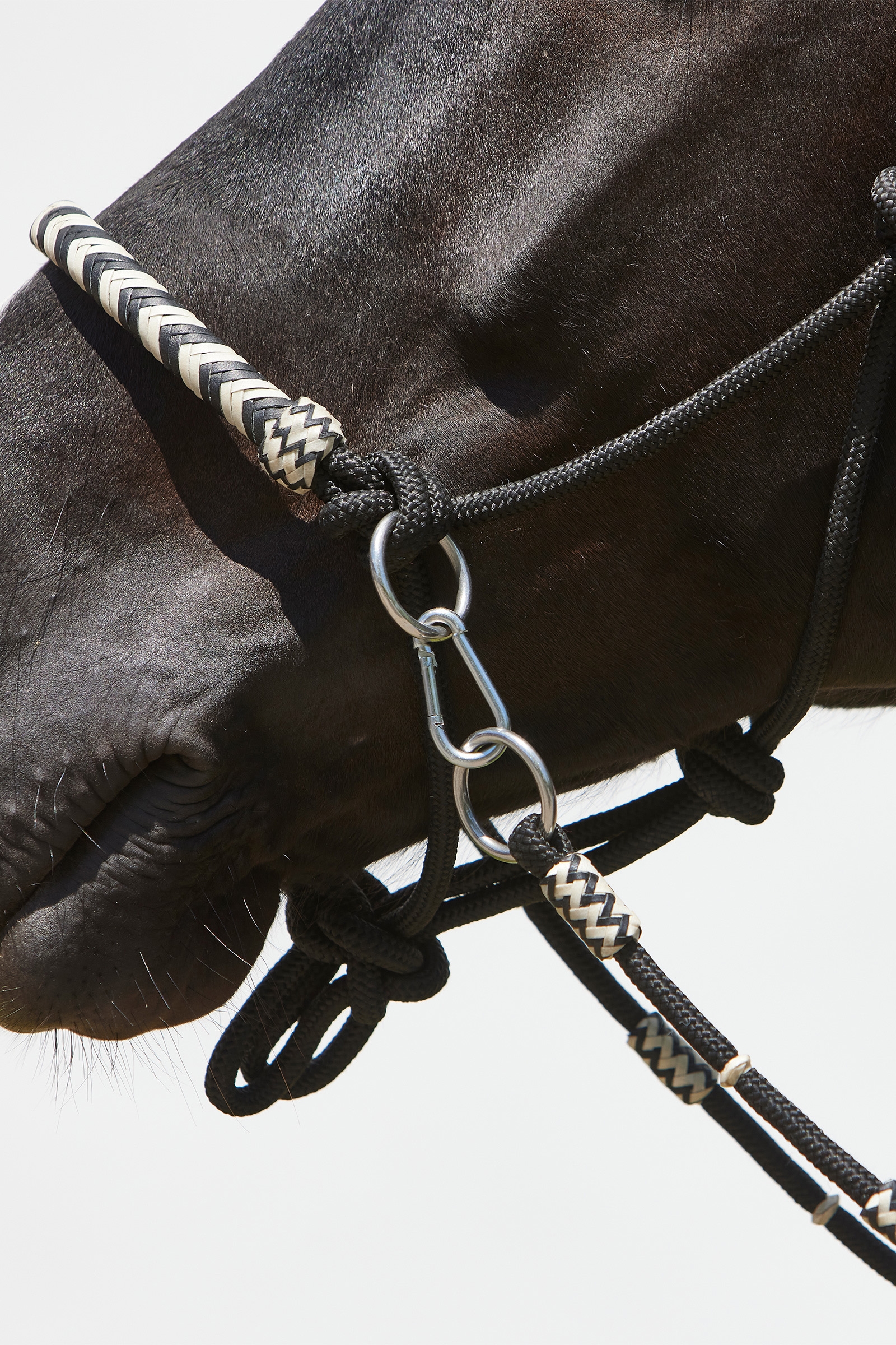 Kieffer Enya naruriimu