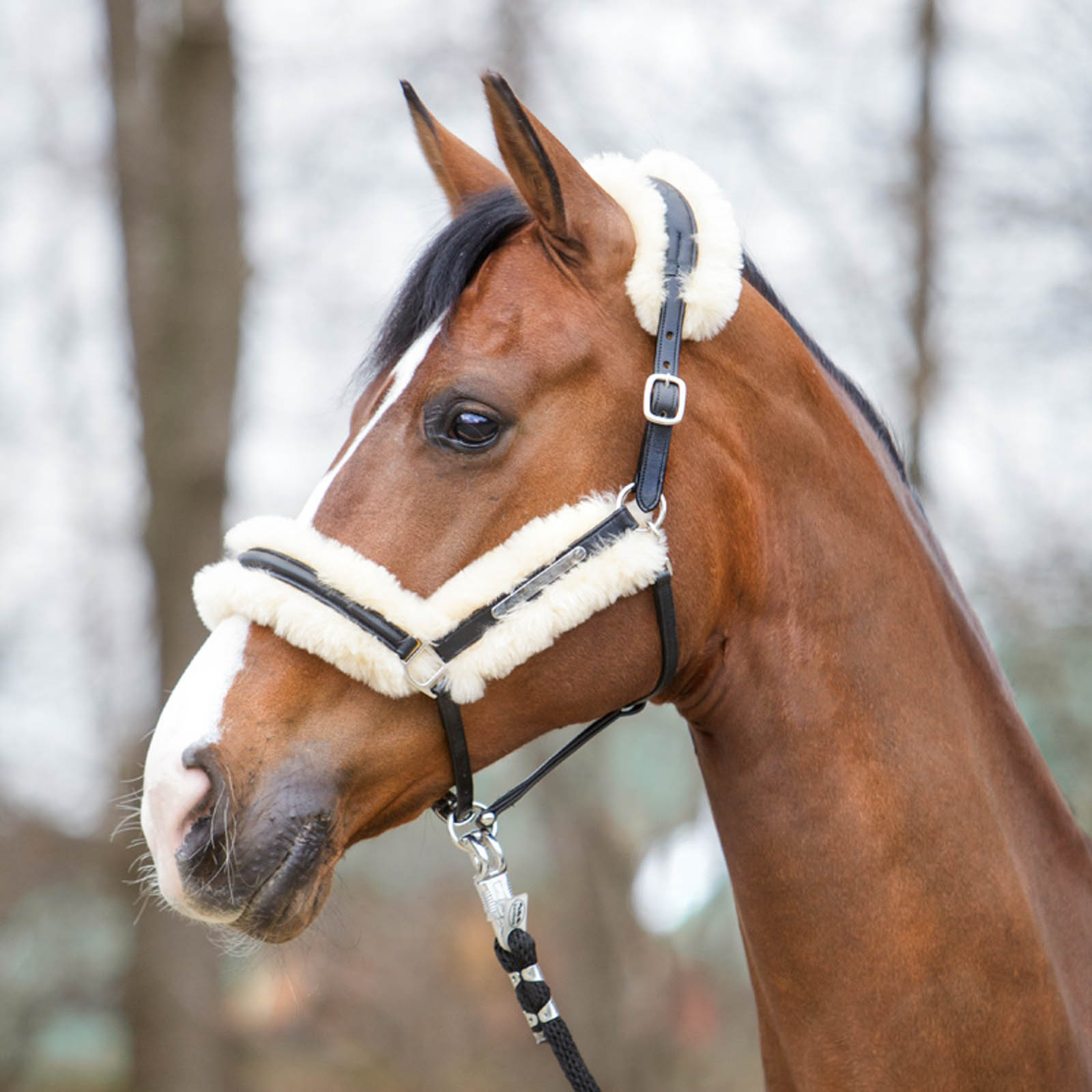 Kavalkade Marvellous nahkariimu lampaankarvalla