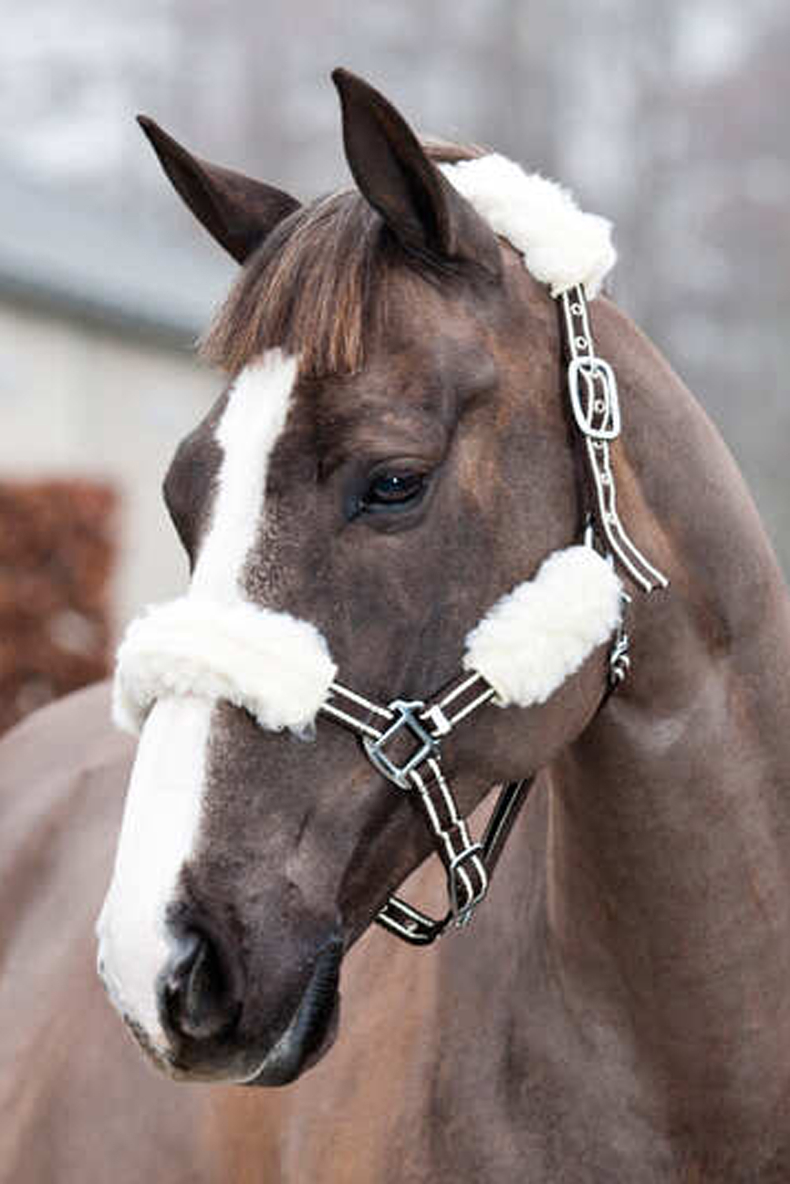 Horze riimun pehmuste, 4 kpl