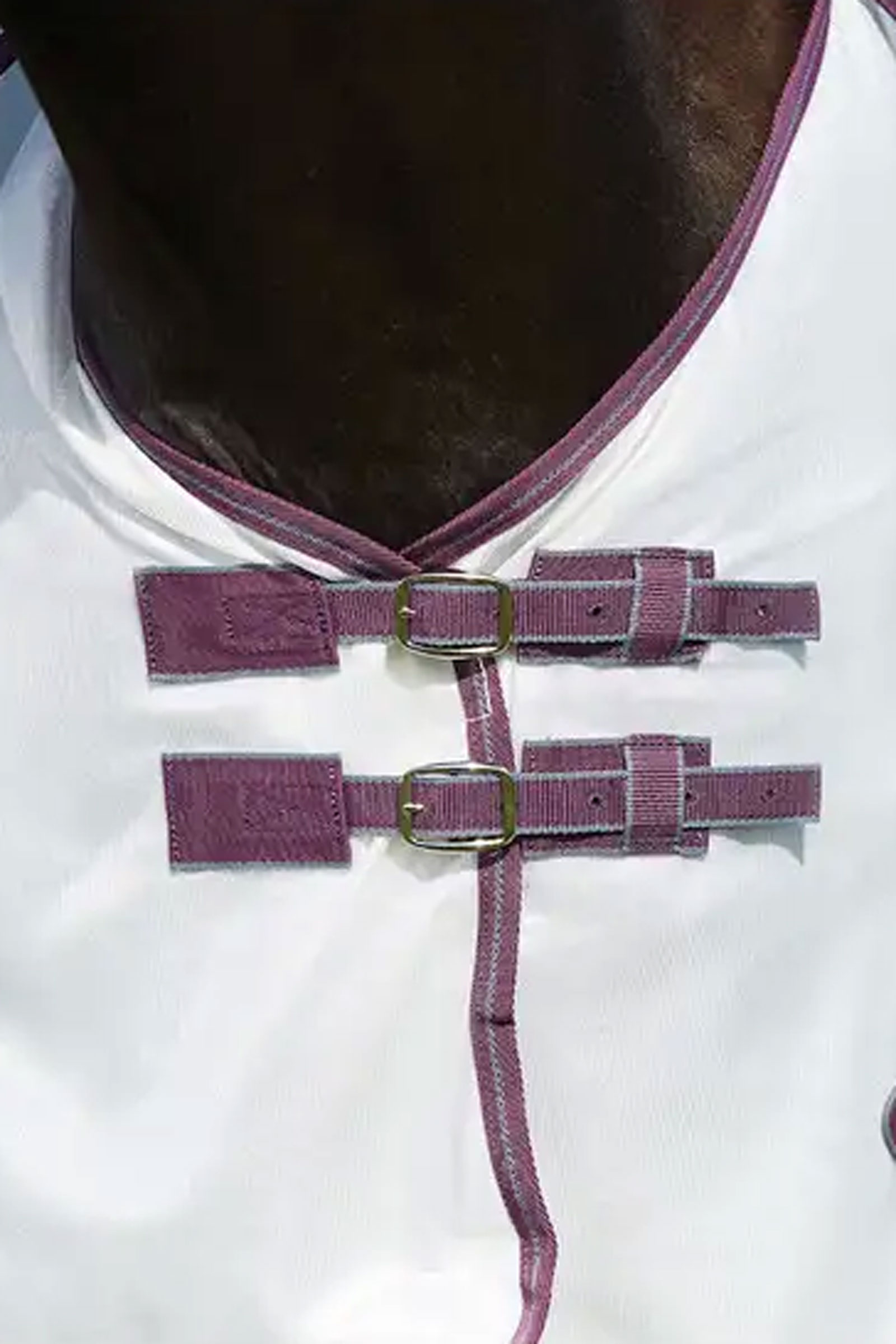 Weatherbeeta Comfitec Essential Mesh II Combo k&auml;rp&auml;sloimi kaulakappaleella