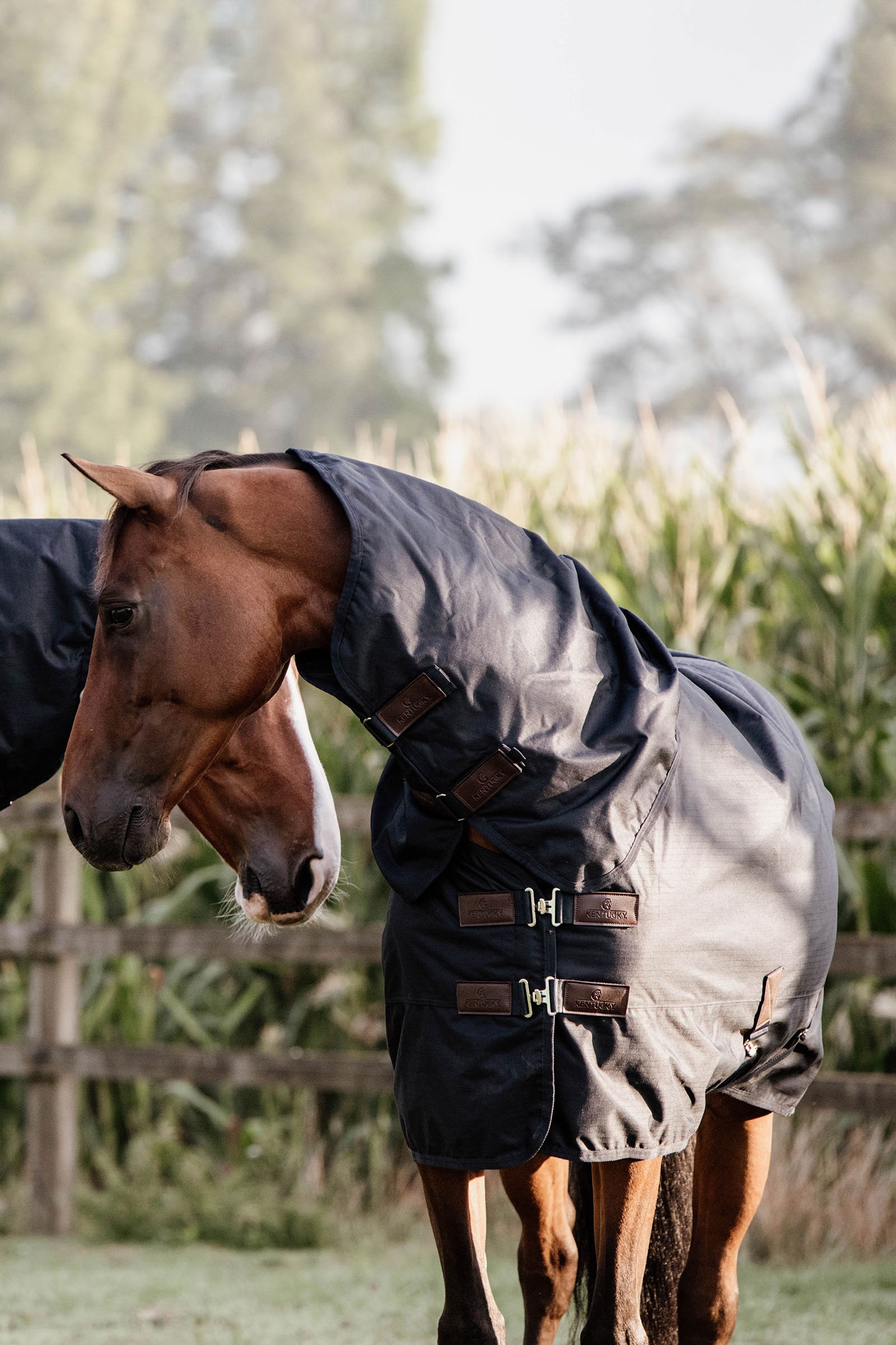 Kentucky Horsewear All Weather Waterproof Classic ulkoloimi, 0 g