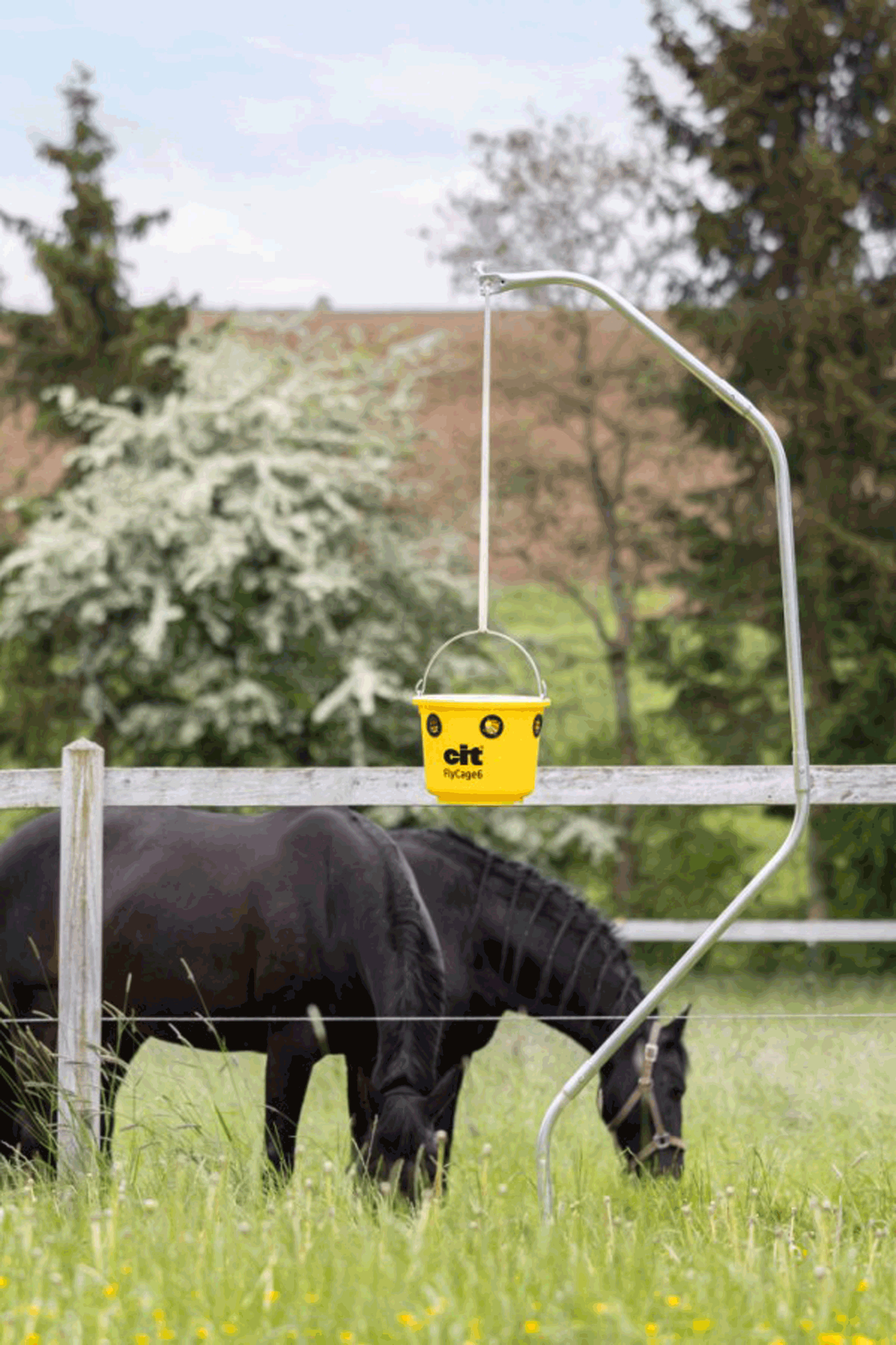 Kerbl Cit FlyCage 6 Fly Trap, Set incl. 750 g Attractant