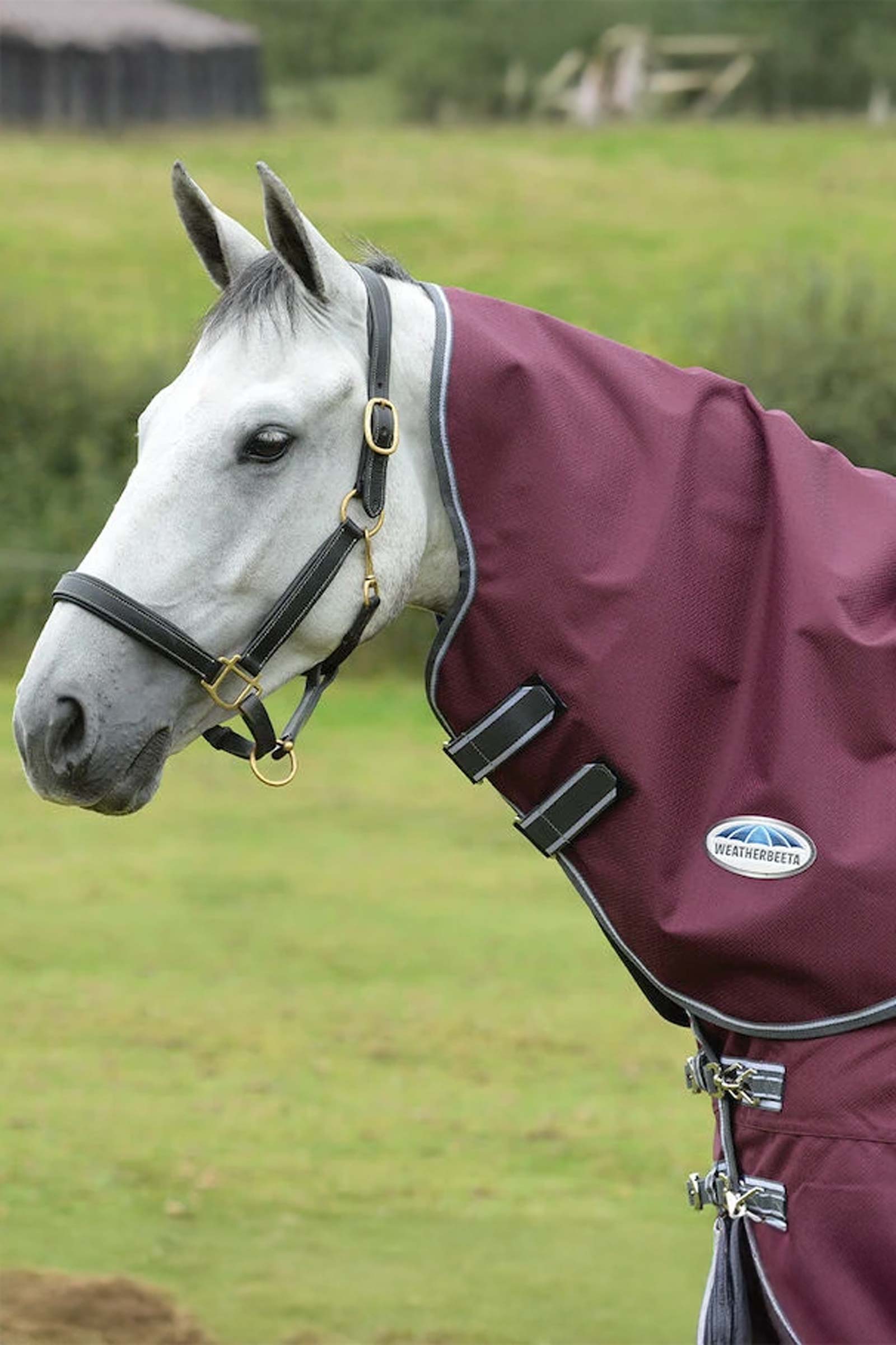 Weatherbeeta Comfitec Plus Dynamic II kaula Lite, 0g