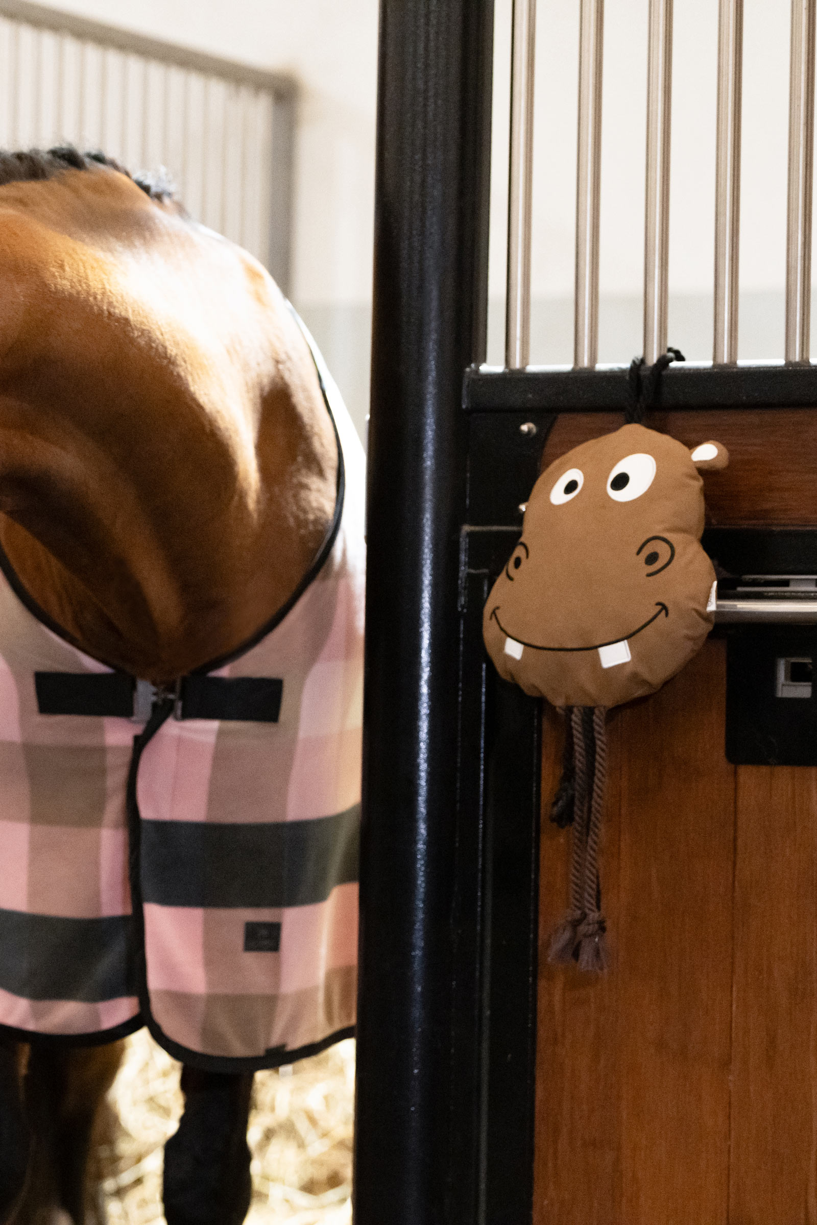 Eskadron Platinum 25 Virtahepo Hevosen Lelu