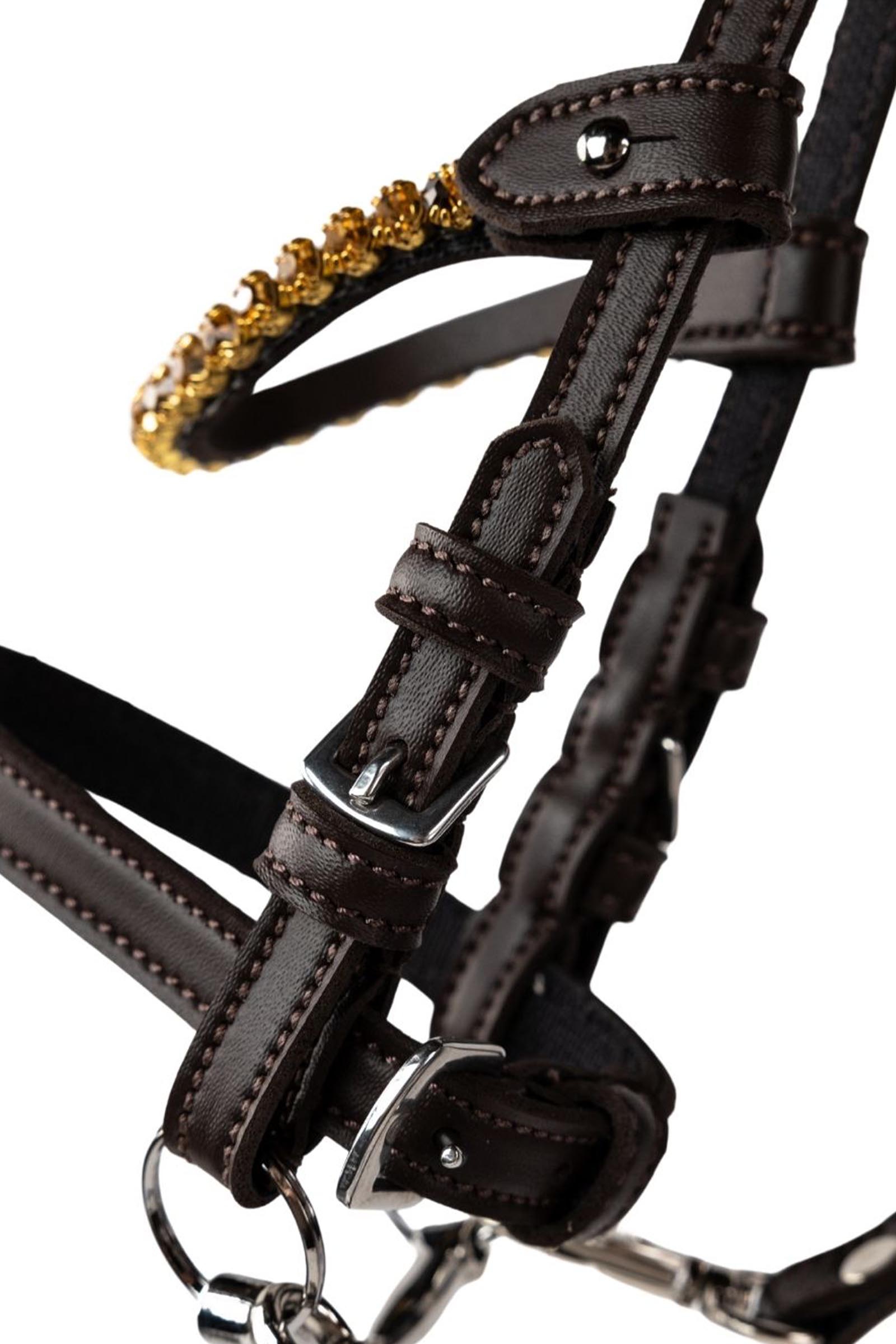 My Hobby Horse nahkasuitset kivill&auml;