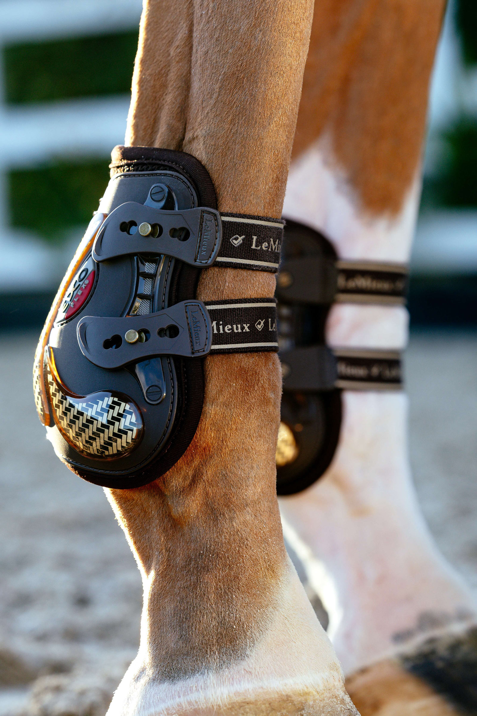 LeMieux EXO Flex -nilkkurit