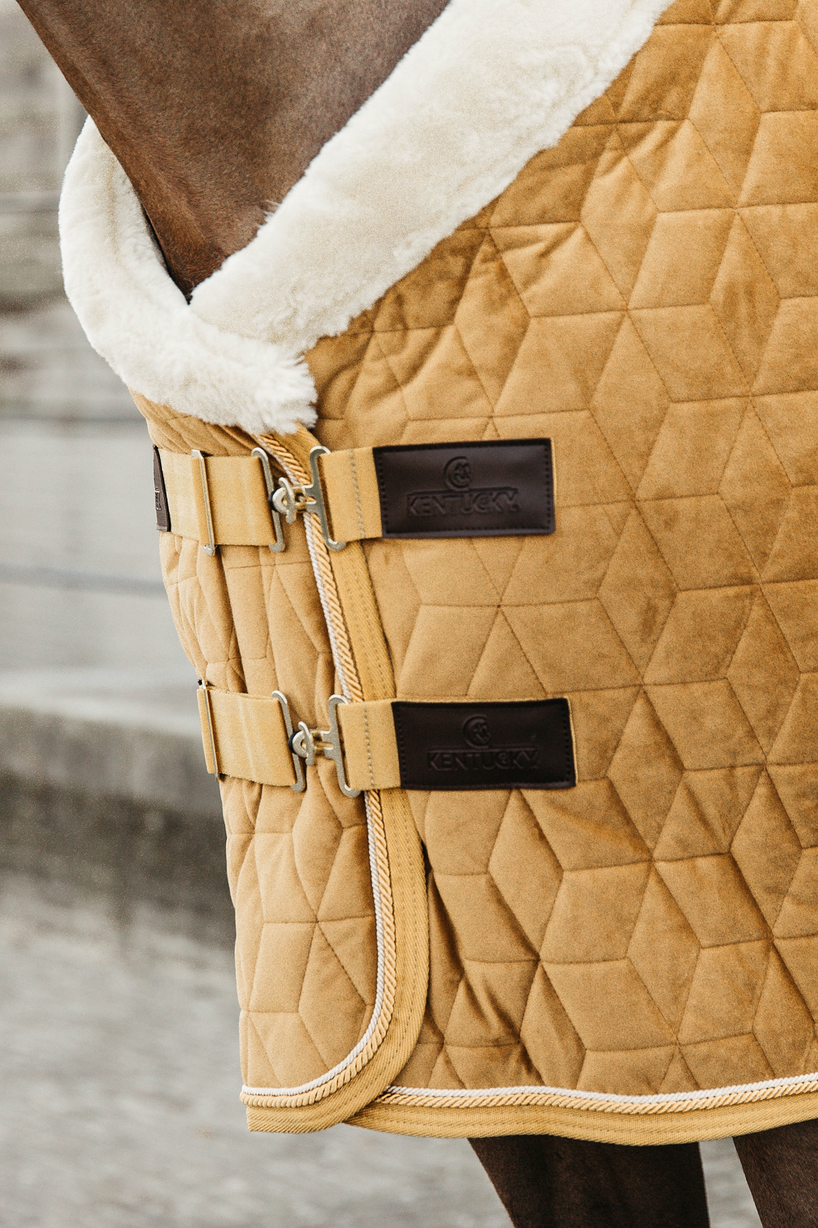 Kentucky Velvet Pony kilpailuloimi, 160 g