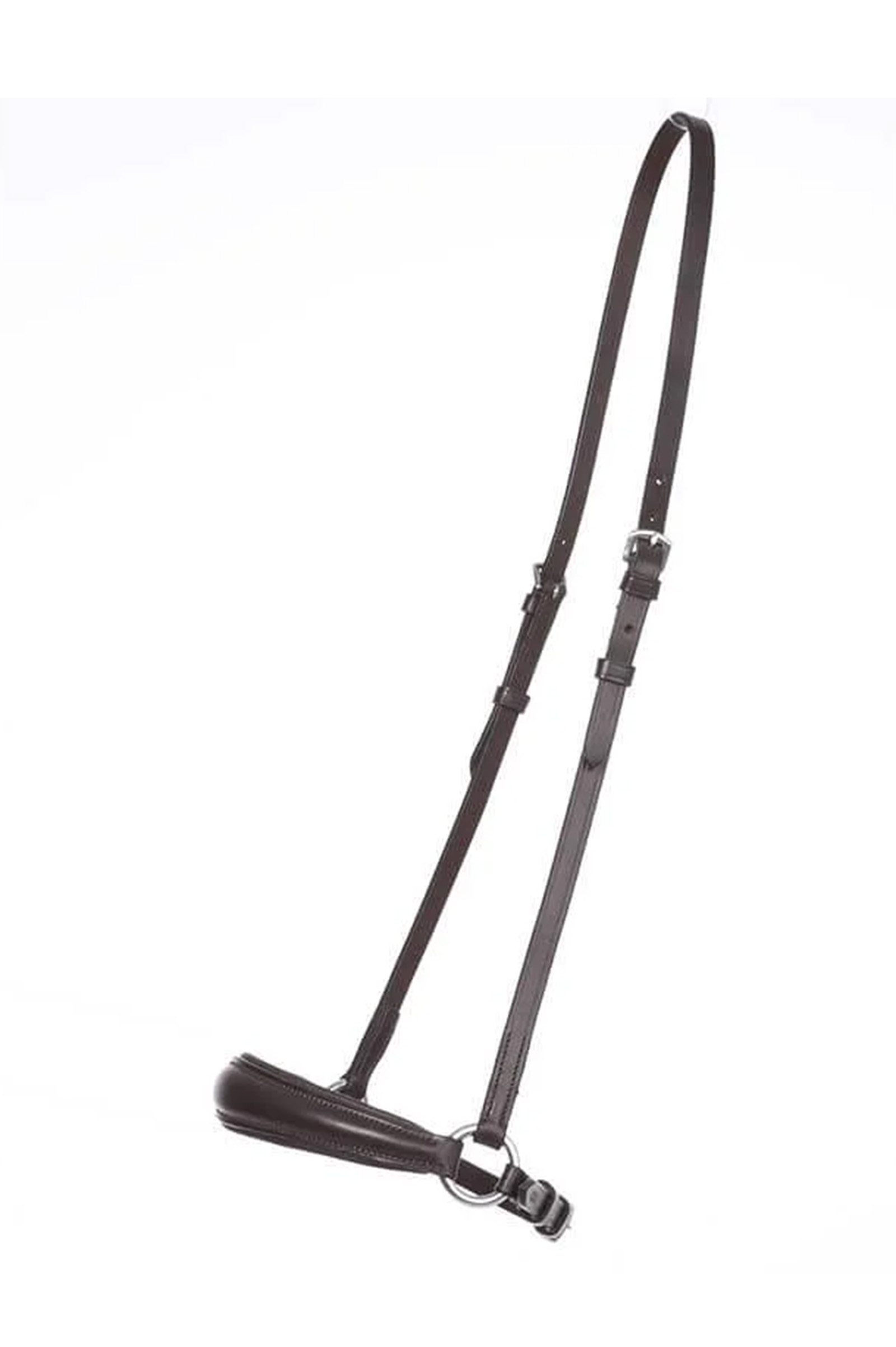 Kavalkade hannoverilainen turpahihna