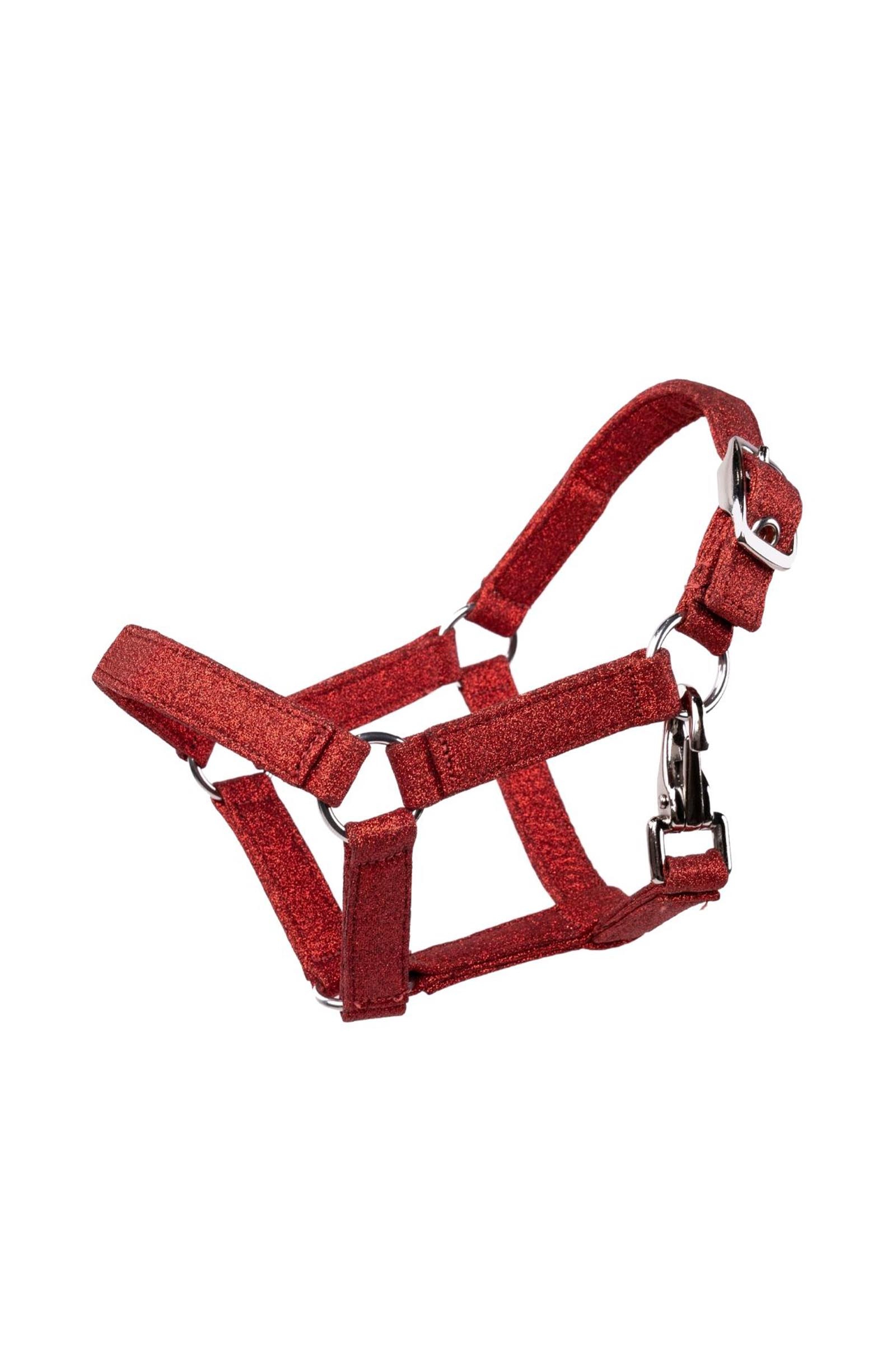 My Hobby Horse riimu glitterill&auml;