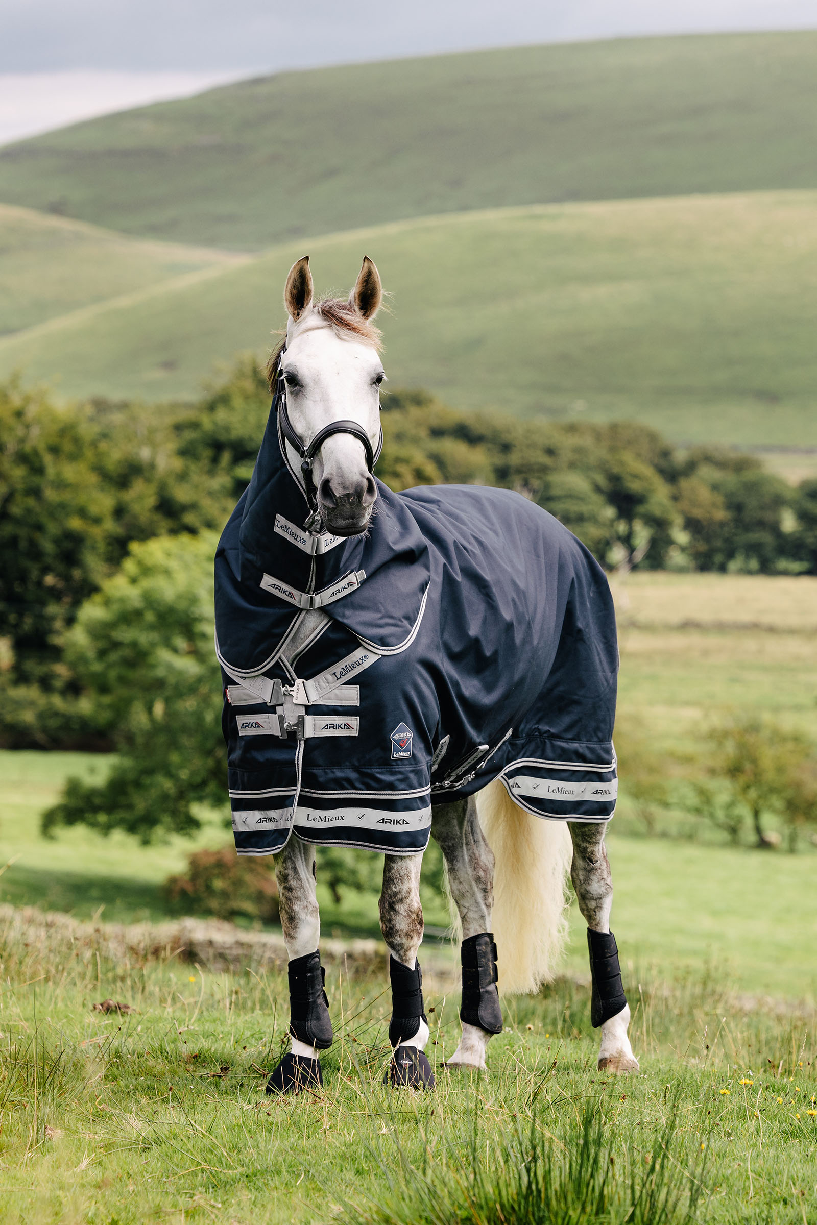 LeMieux Arika Storm-Tek loimi 50g