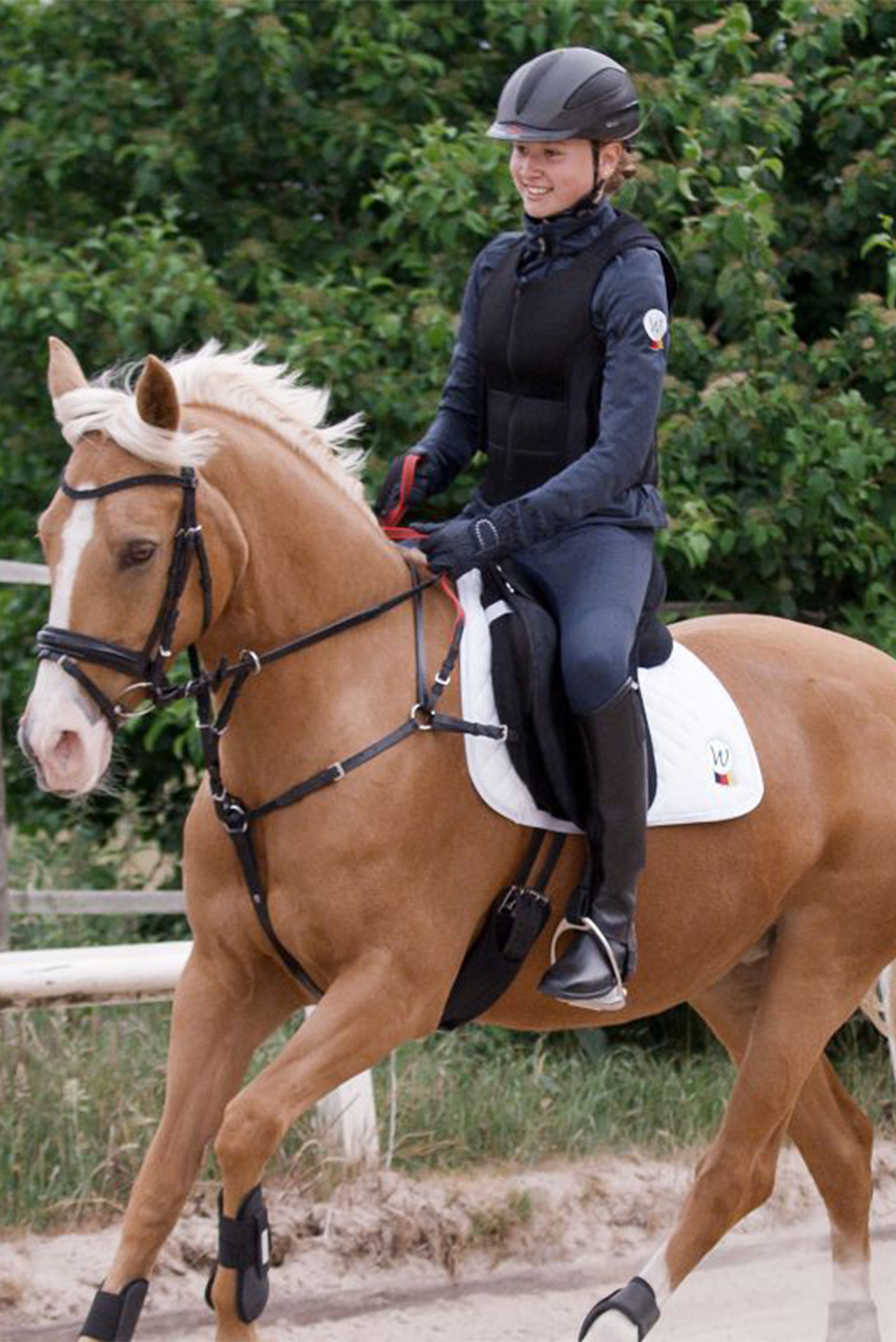 Waldhausen Secutrust Rintaremmi turvallisilla ohjaksilla