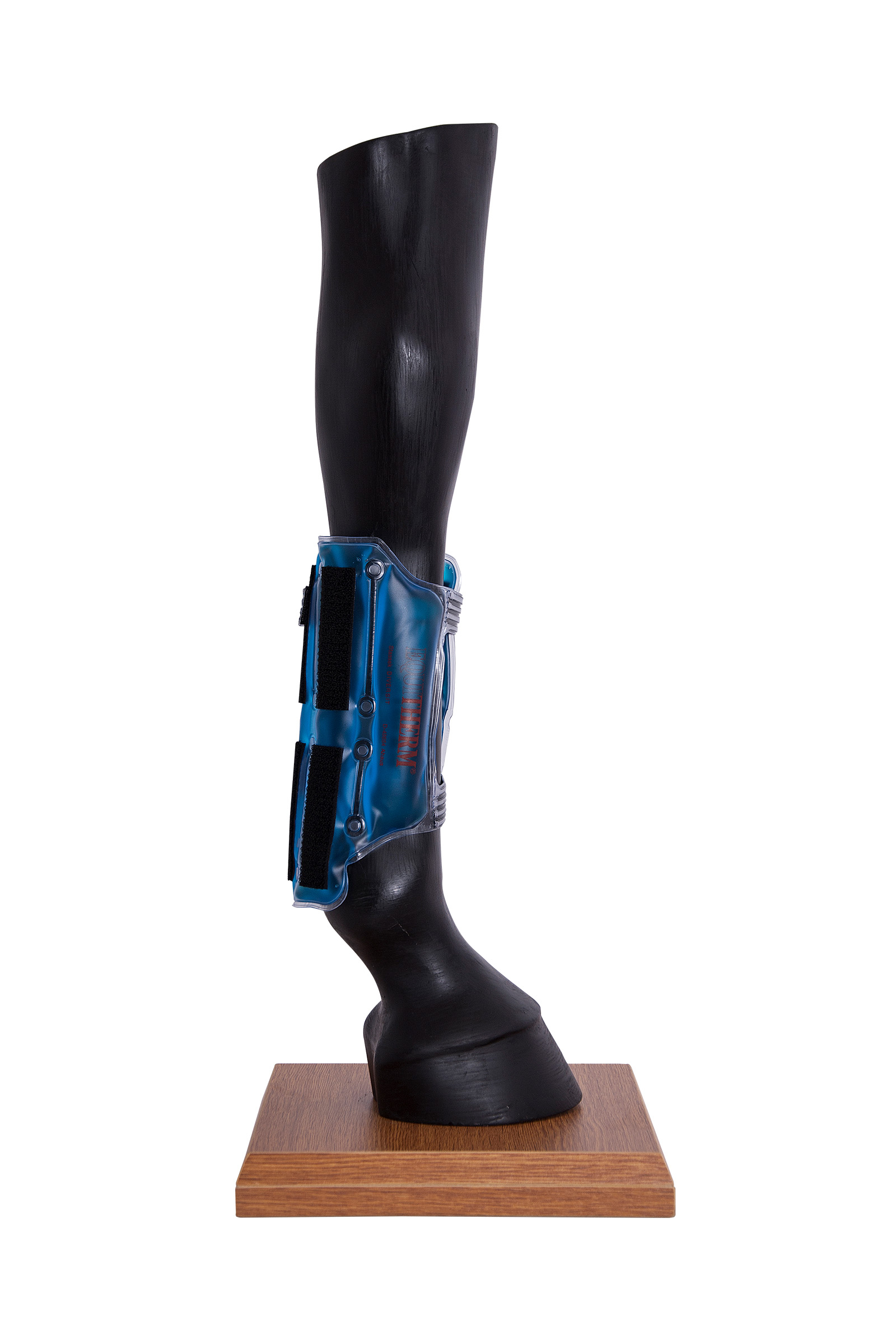 Stassek Equitherm kylmäyspatja tarrakiinnityksellä