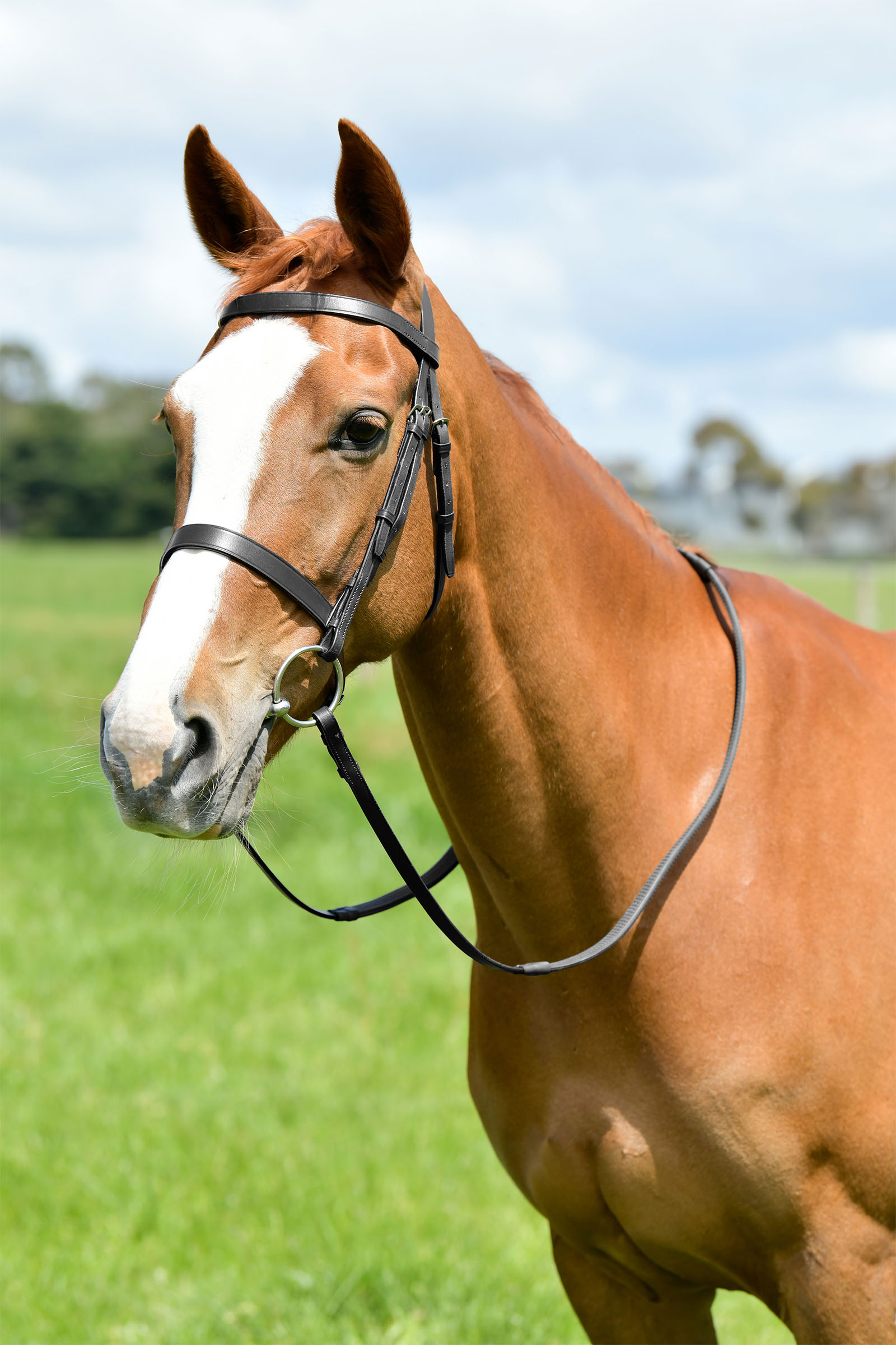 Black Kincade Classic litteä metsästyssuitset ohjilla