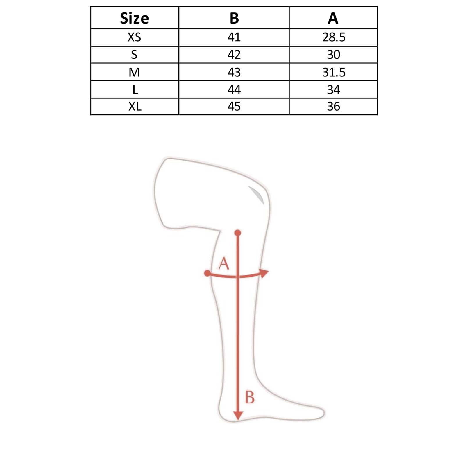 Horze Quinton nahkachapsit