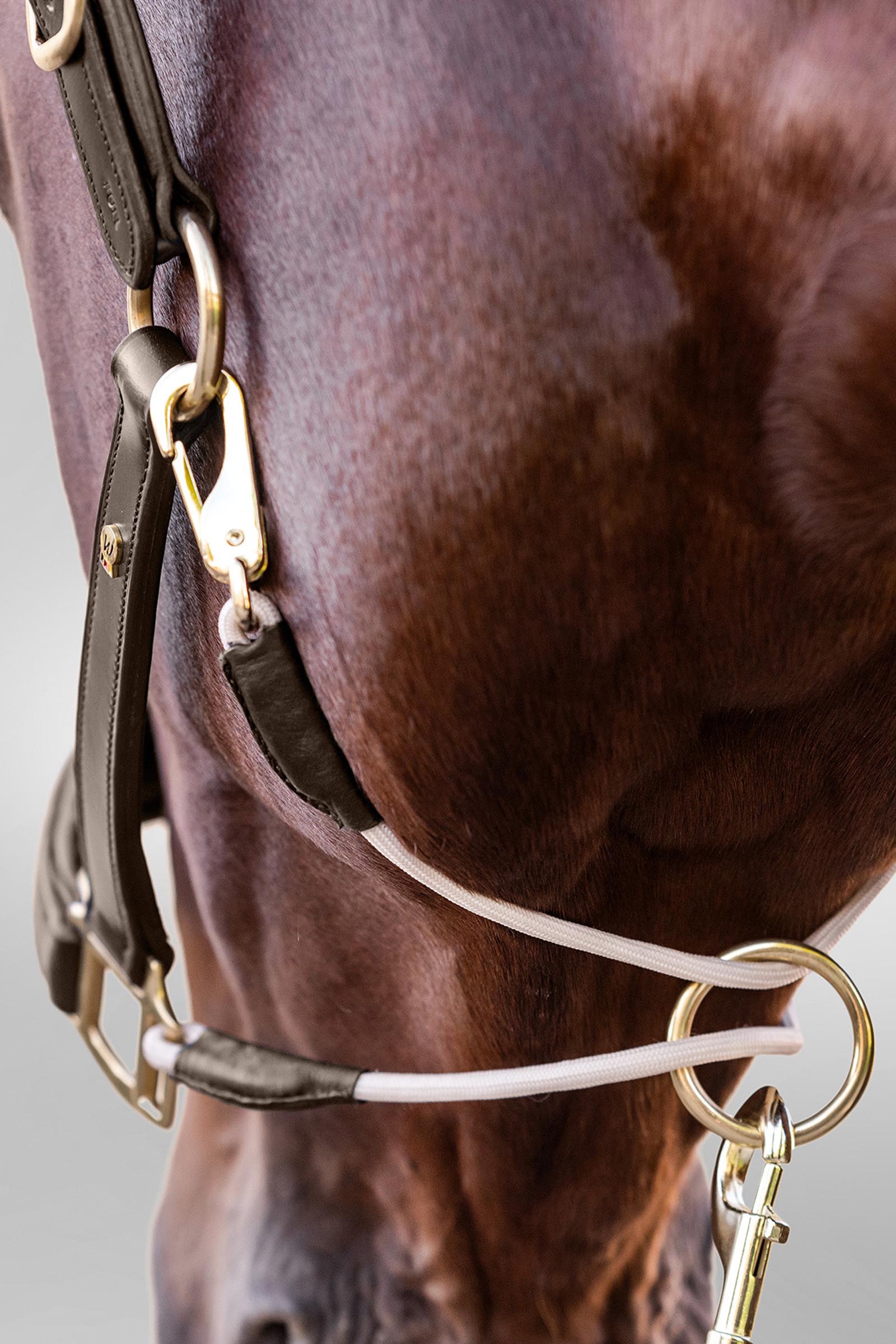 Royal Waldhausen S-Line nahkariimu