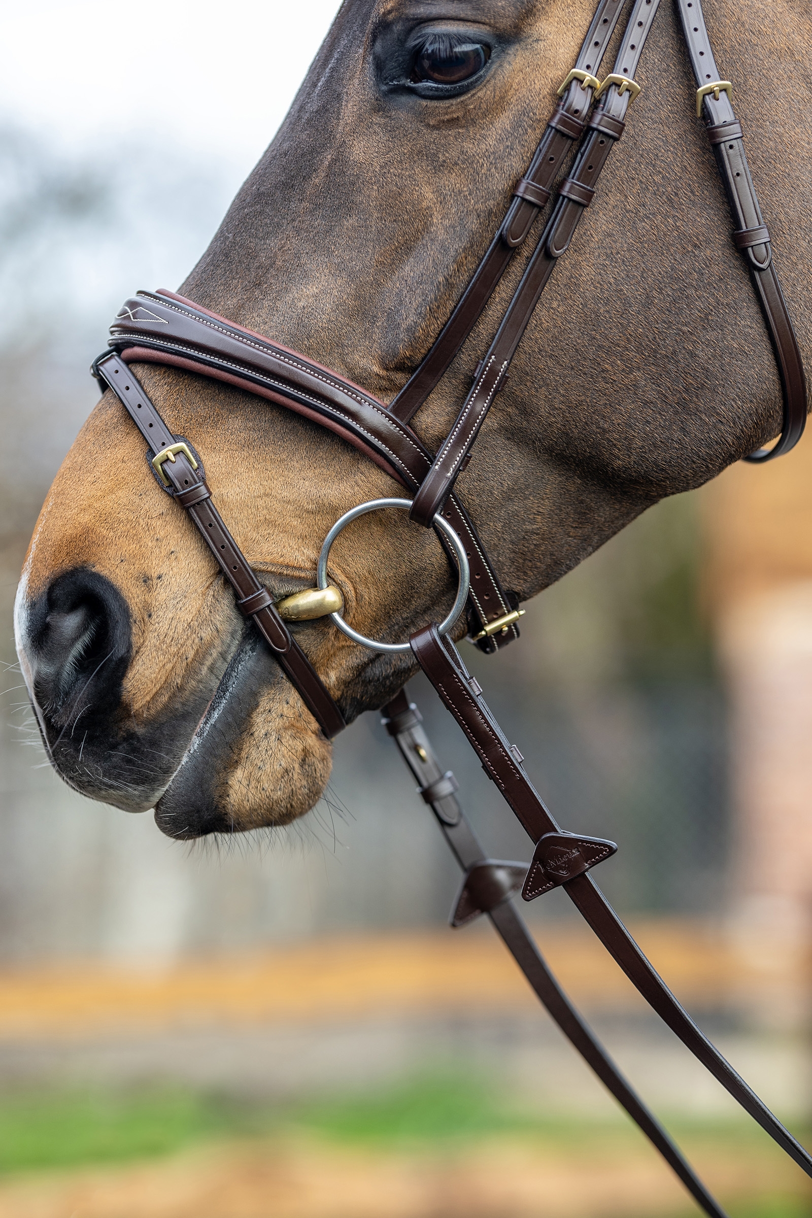 LeMieux Competiton Flash Bridle