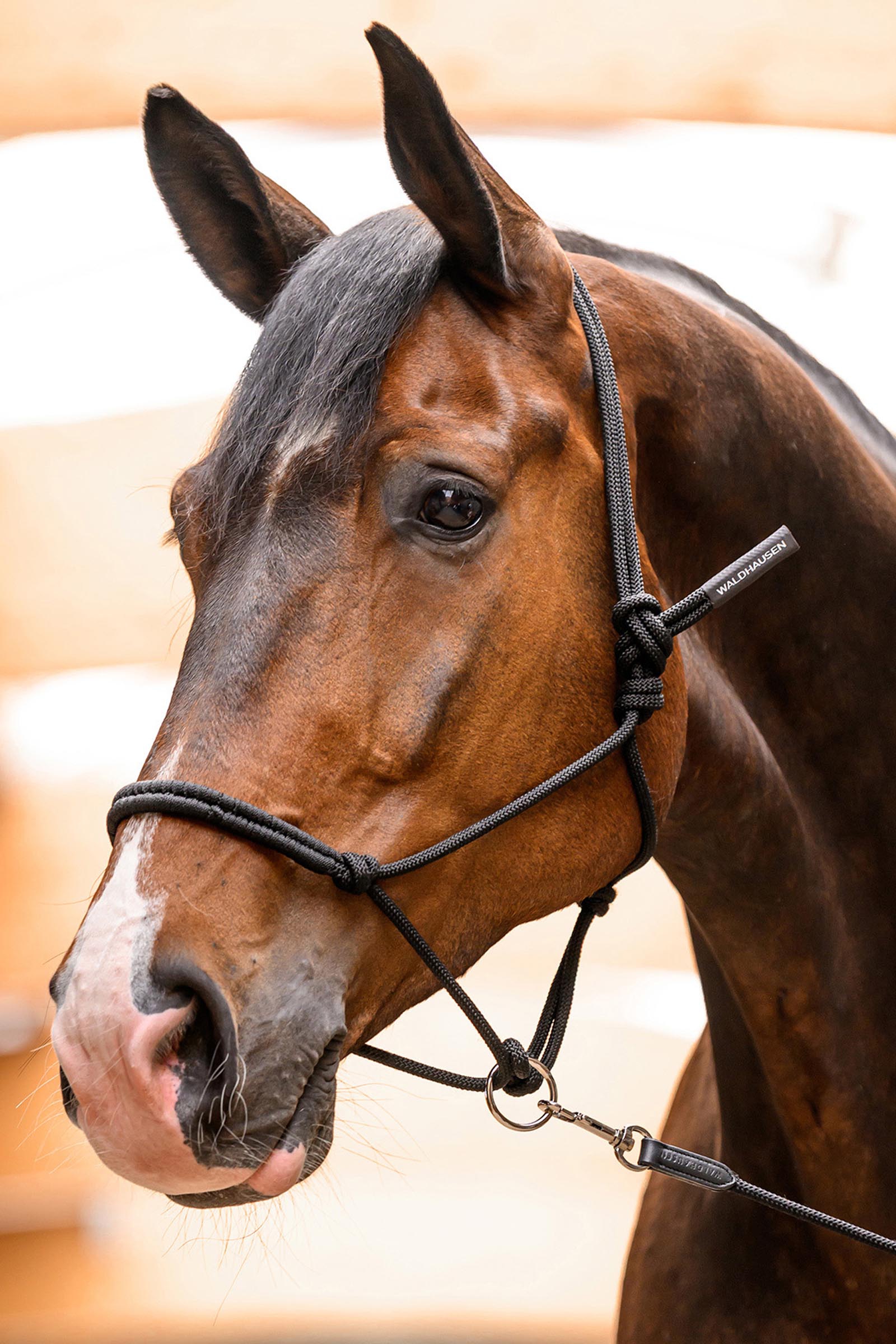 Waldhausen solmuriimu liikkuvalla renkaalla