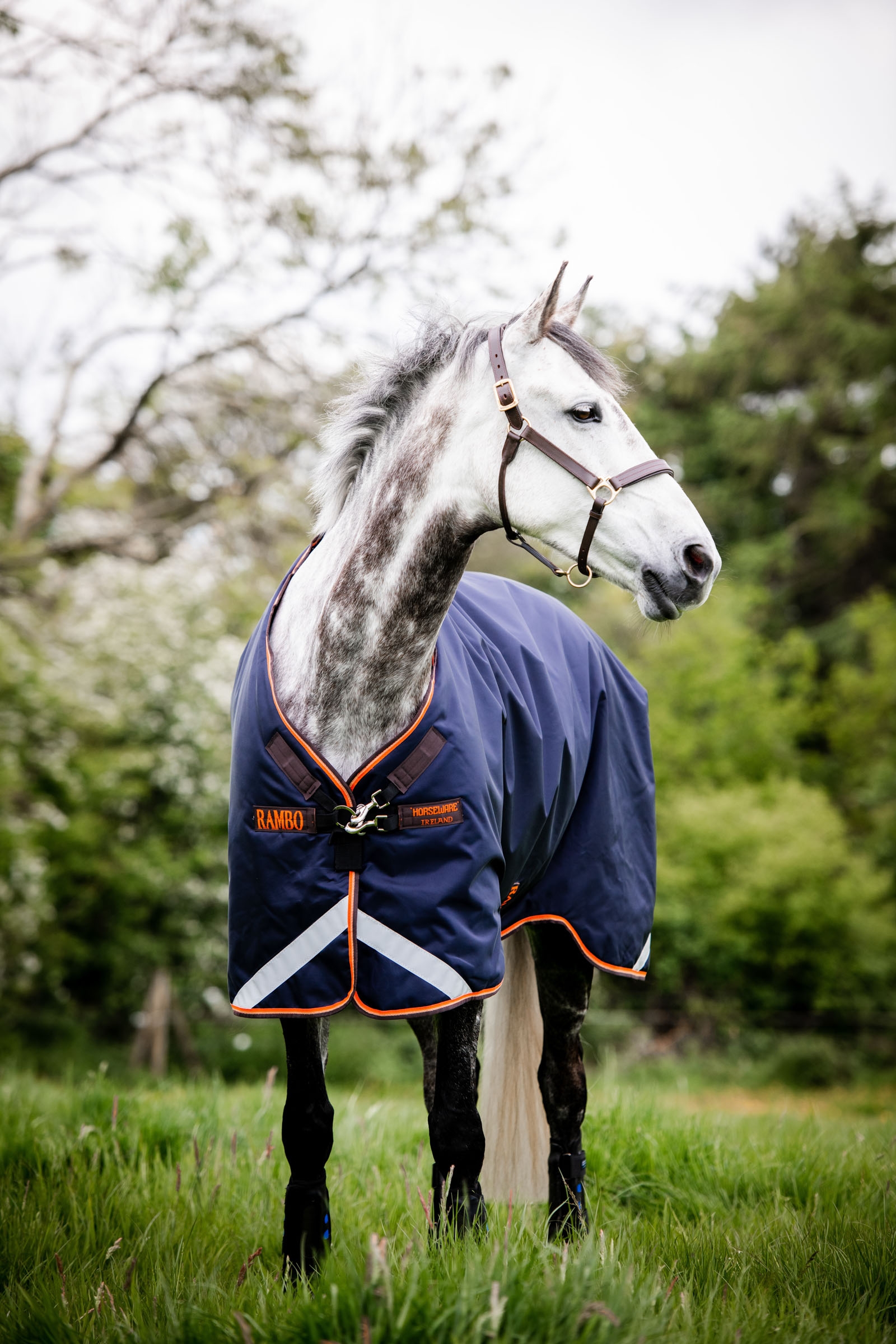 Horseware Rambo Original ulkoloimi jalkatiloilla, 100 g