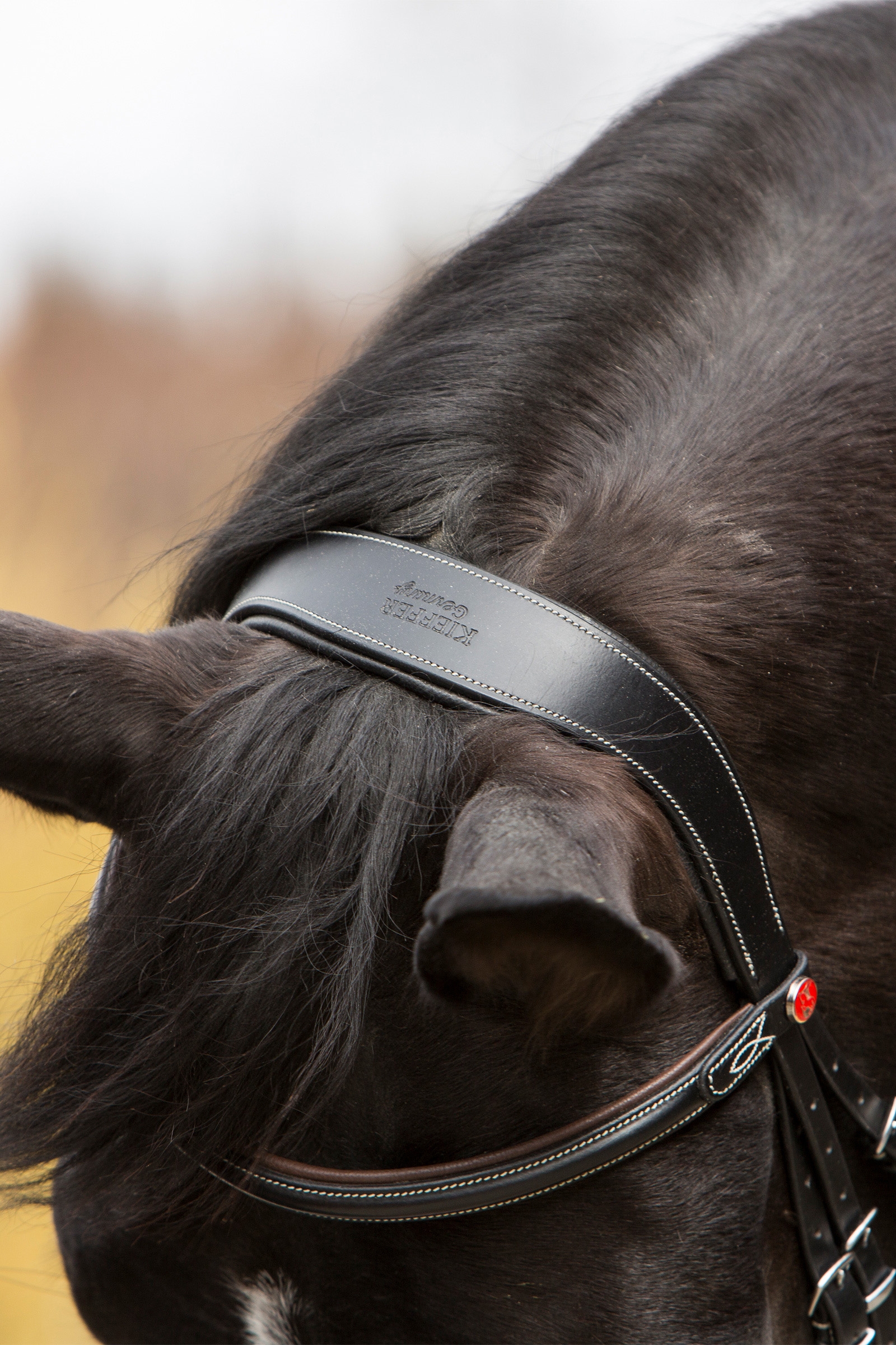 Kieffer Vera suitset