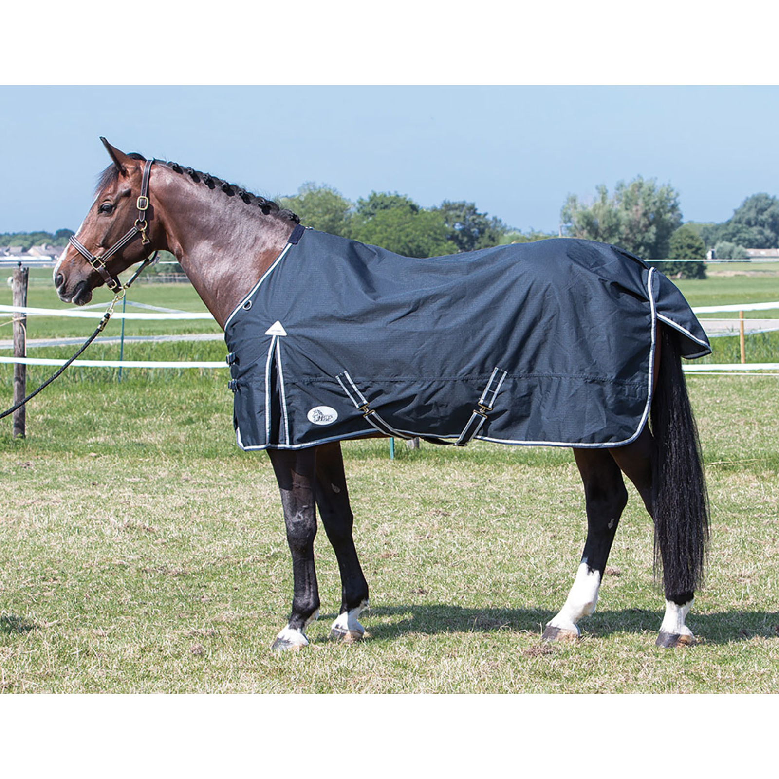 Harry's Horse Thor Ebony loimi 0 g, TC vuoraus