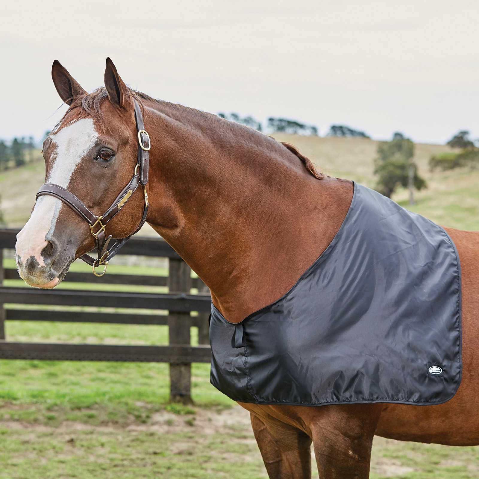Weatherbeeta Satin Shoulder Guard -lapasuojus