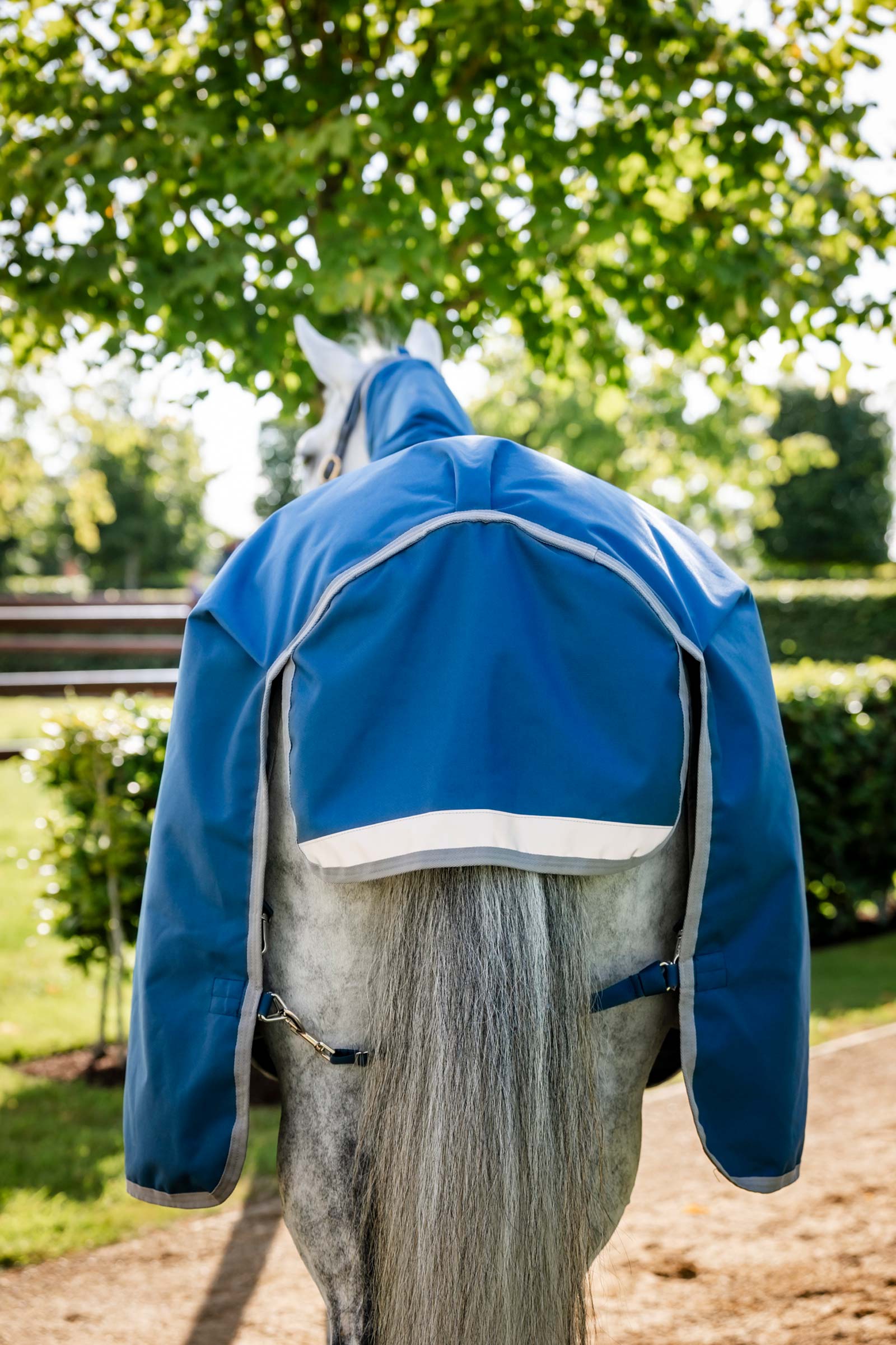 Horseware Ionic Therapy Ulkoloimi, 100g