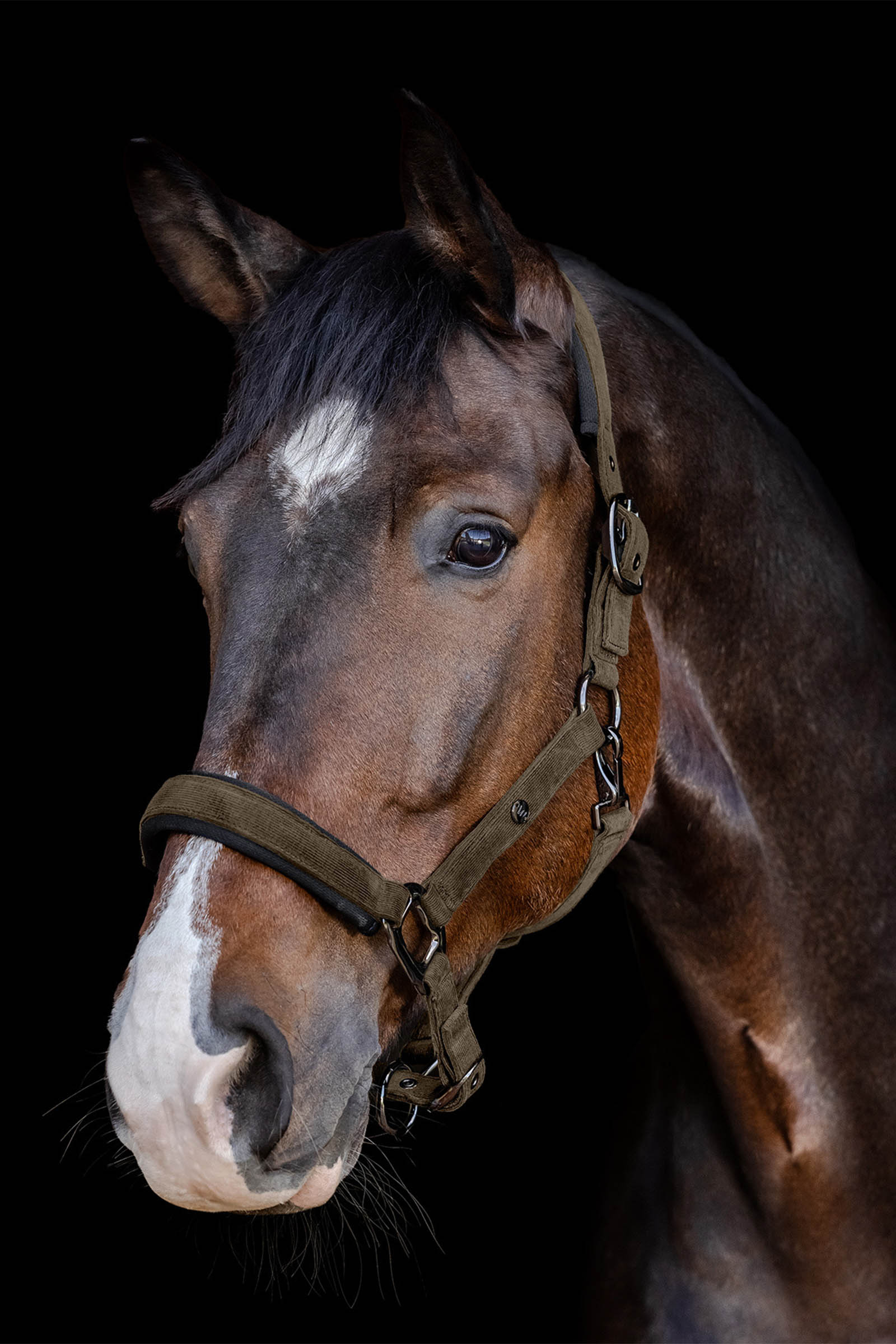 Waldhausen St. Gallenin Haltija