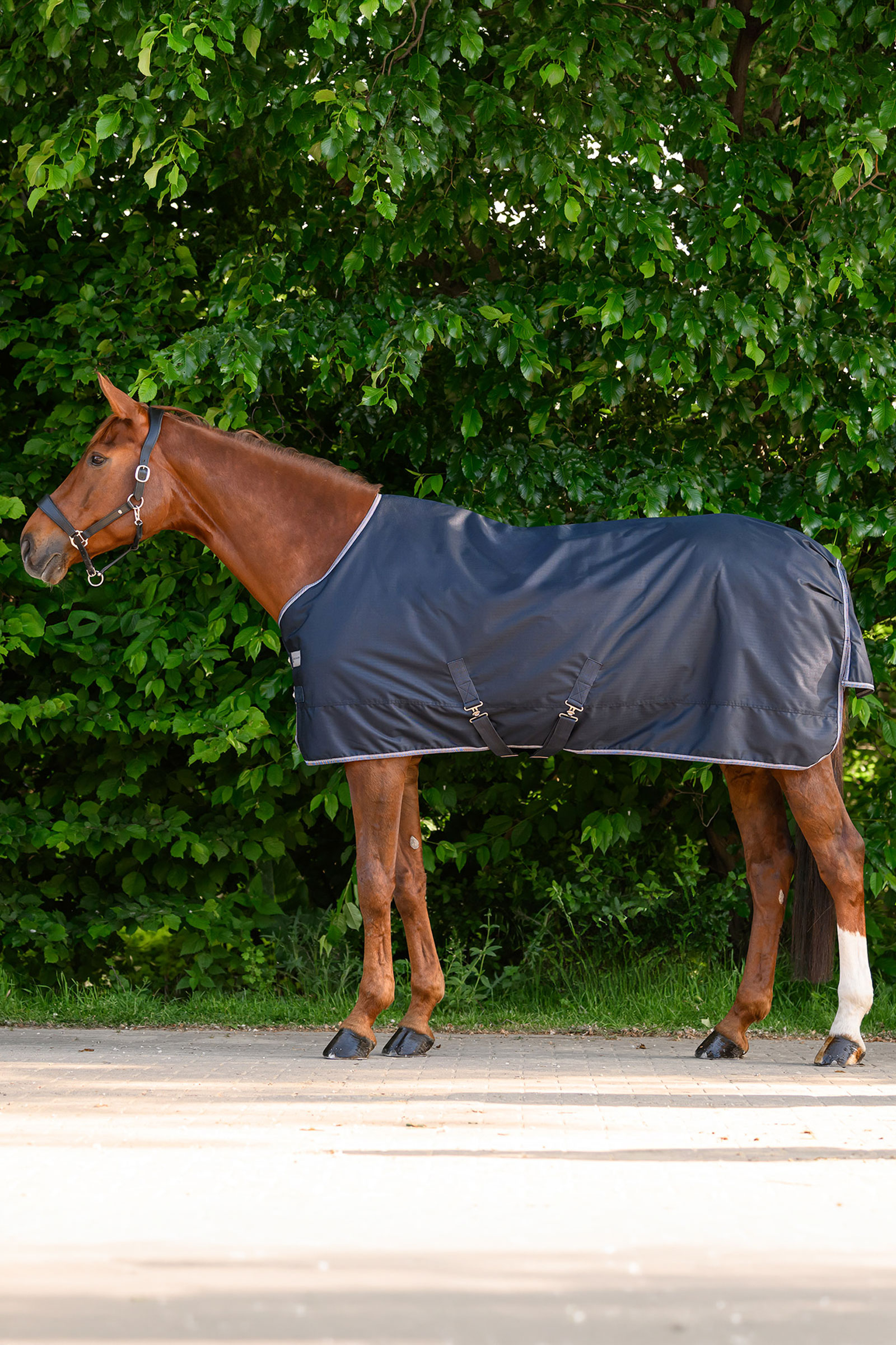 Waldhausen ECONOMIC ulkoloimi, 100g