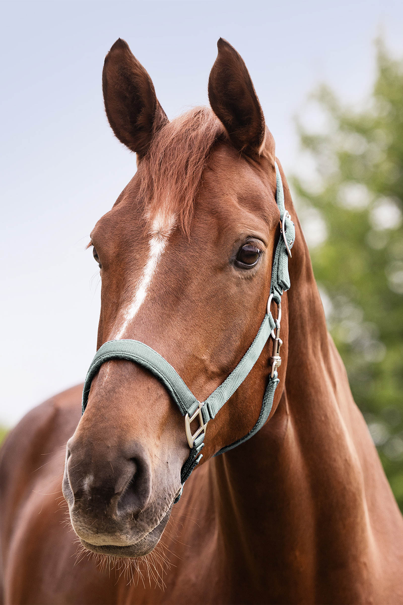 Waldhausen Perlon Satin Haltija