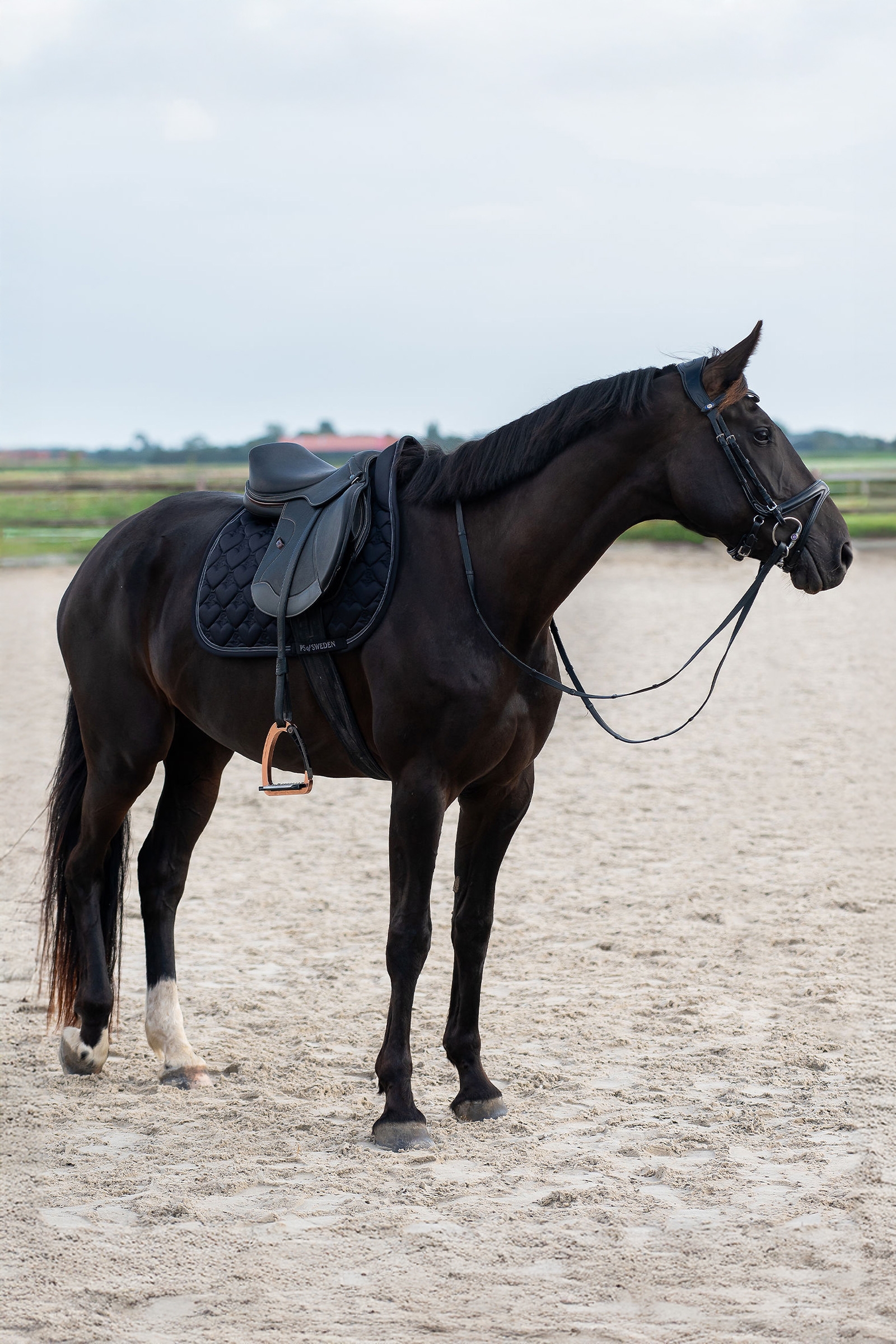 PS of Sweden syd&auml;n estehuopa