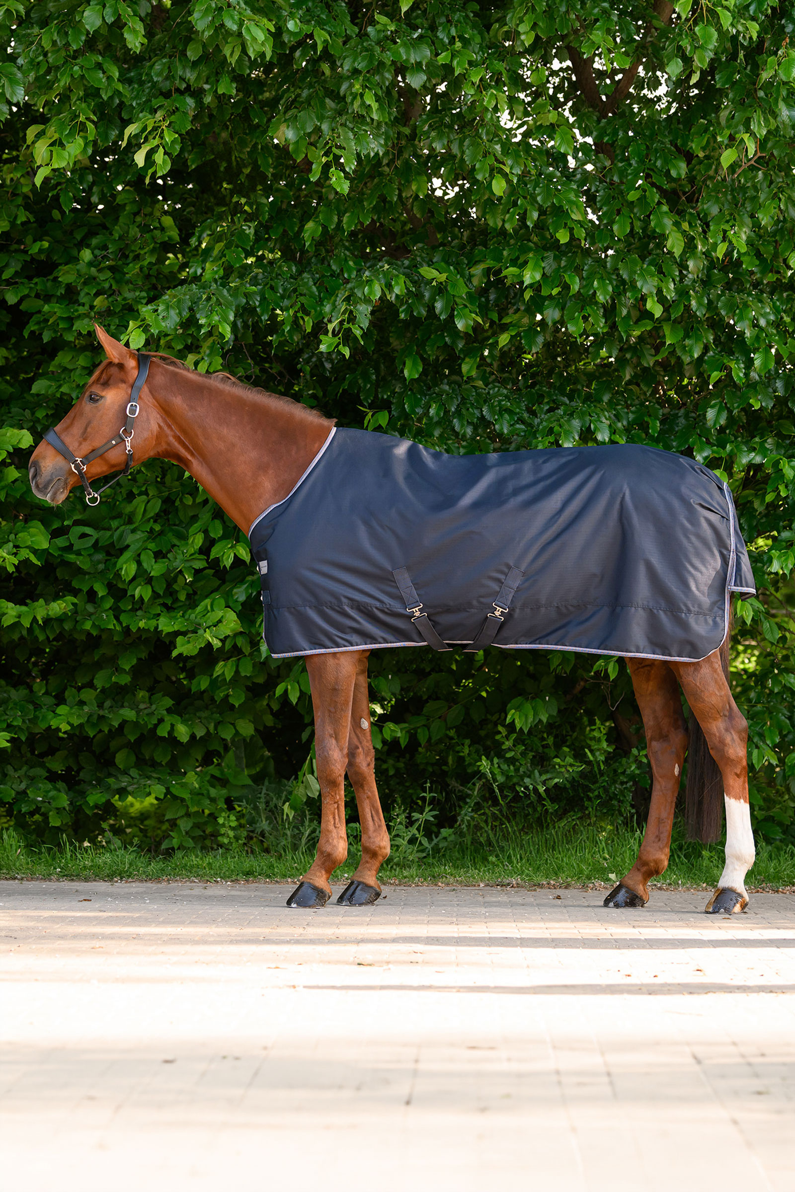 Waldhausen ECONOMIC kevyt ulkoloimi