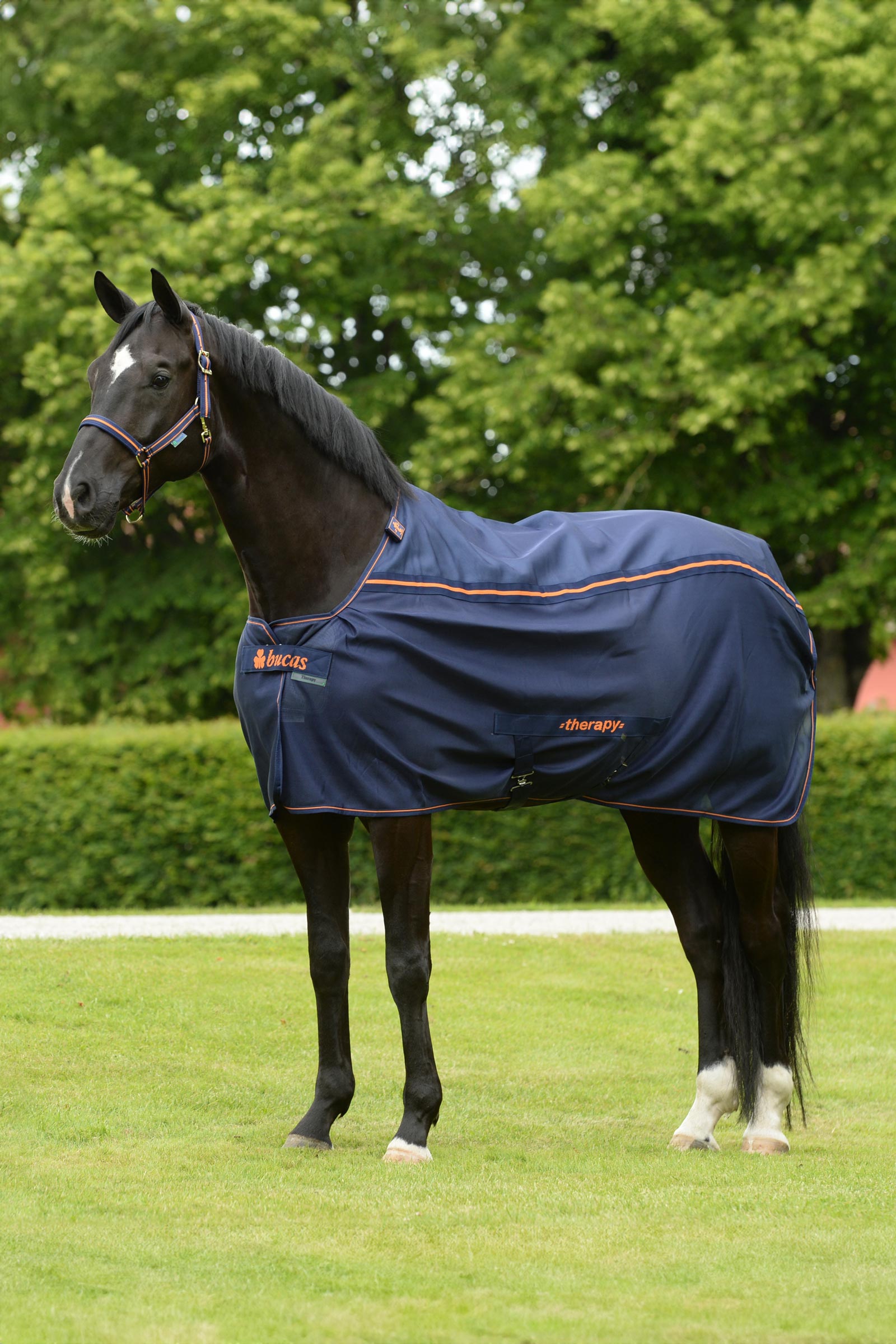 Bucas Therapy Mesh Viilennysloimi