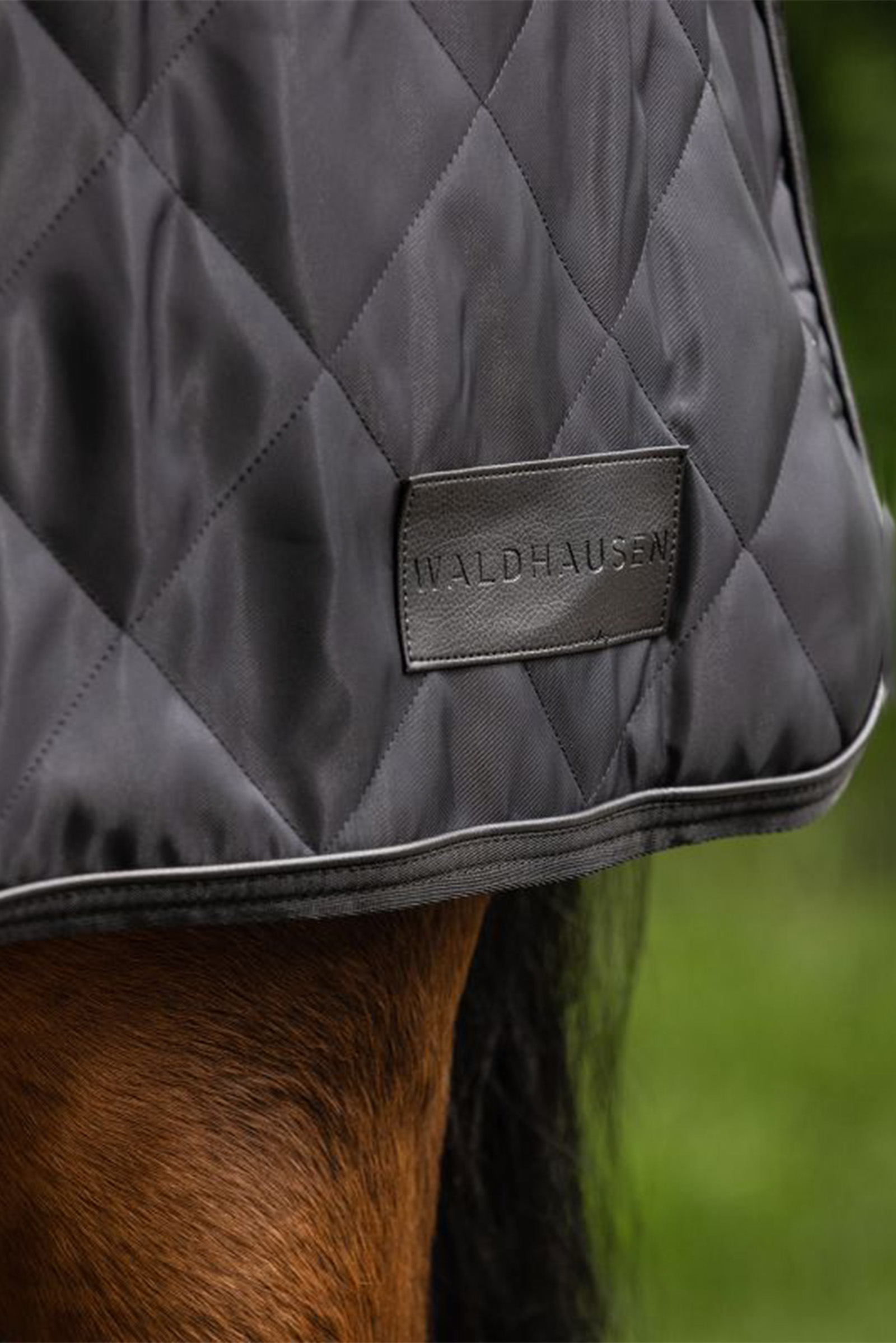 Waldhausen Exclusive johtoliina peitto, 50g