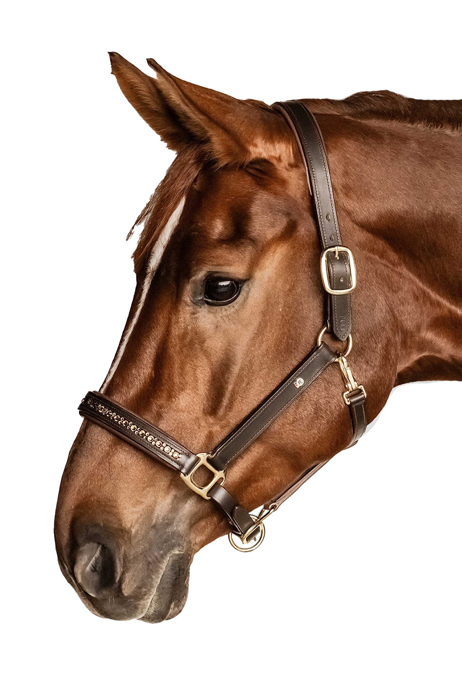 Waldhausen X-Line Crystal Nahkarihmu