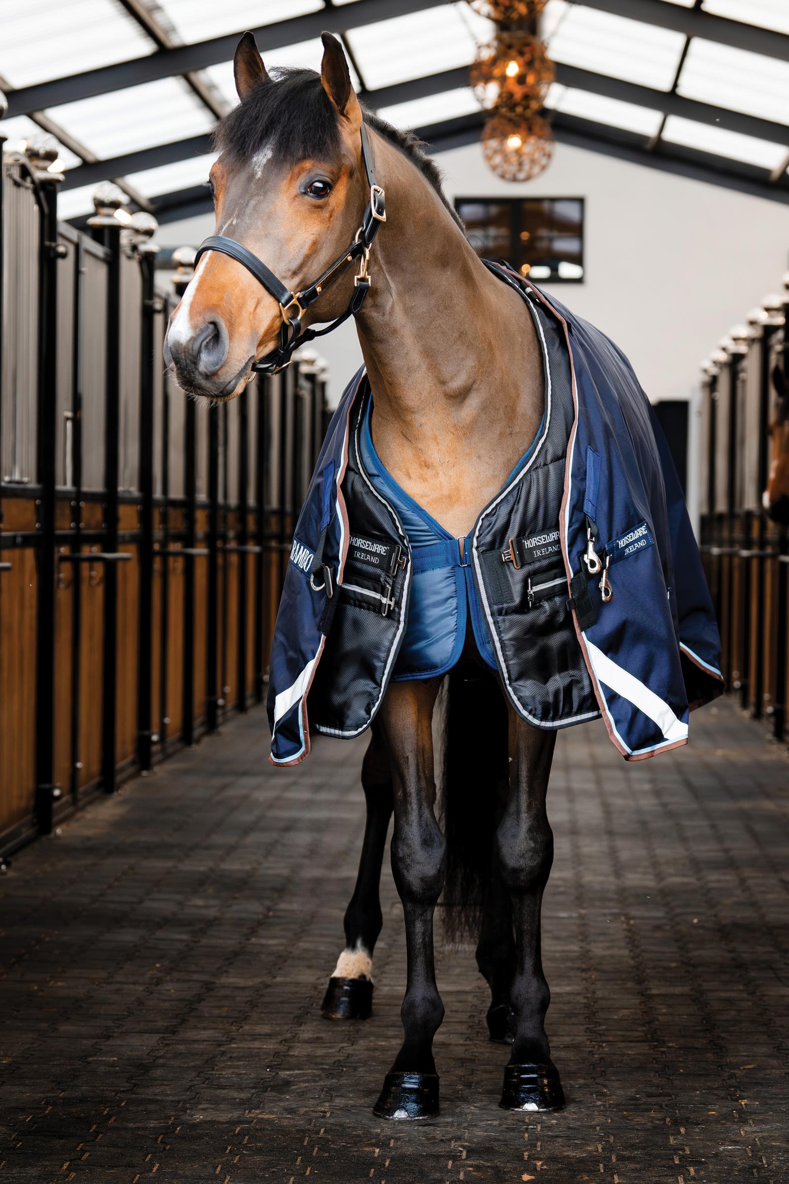 Horseware Easy-Layer talliloimi 100g